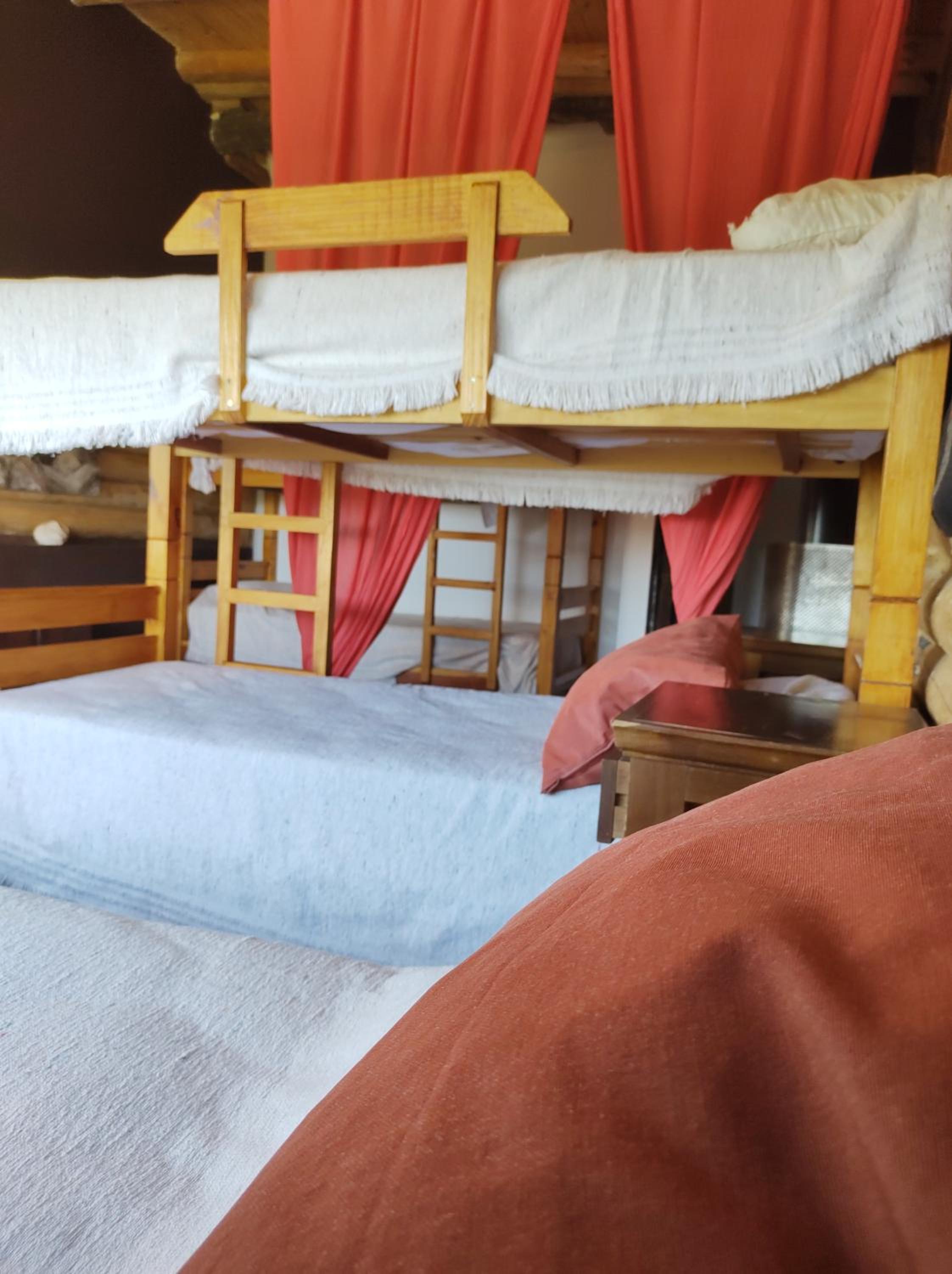 Single Bed in Mixed Dormitory Room photo 3