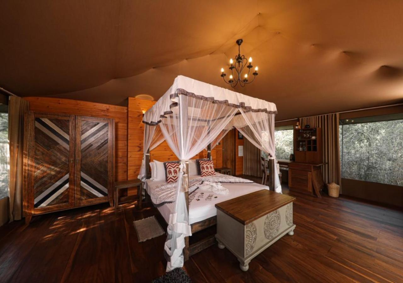Luxury Eagle Tent with Private Pool (10% off on Wildlife Safaris) - Photo 2