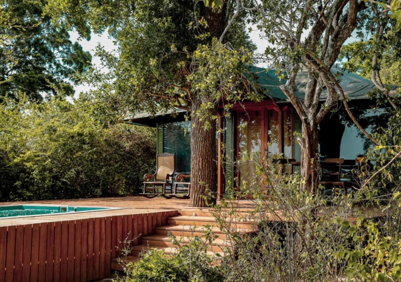 Luxury Eagle Tent with Private Pool (10% off on Wildlife Safaris) - Photo 12