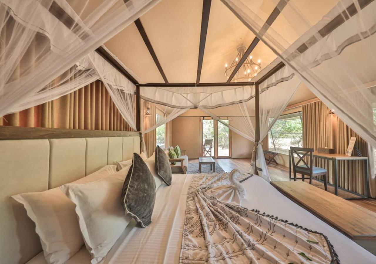 Luxury Eagle Tent with Private Pool (10% off on Wildlife Safaris) - Photo 10