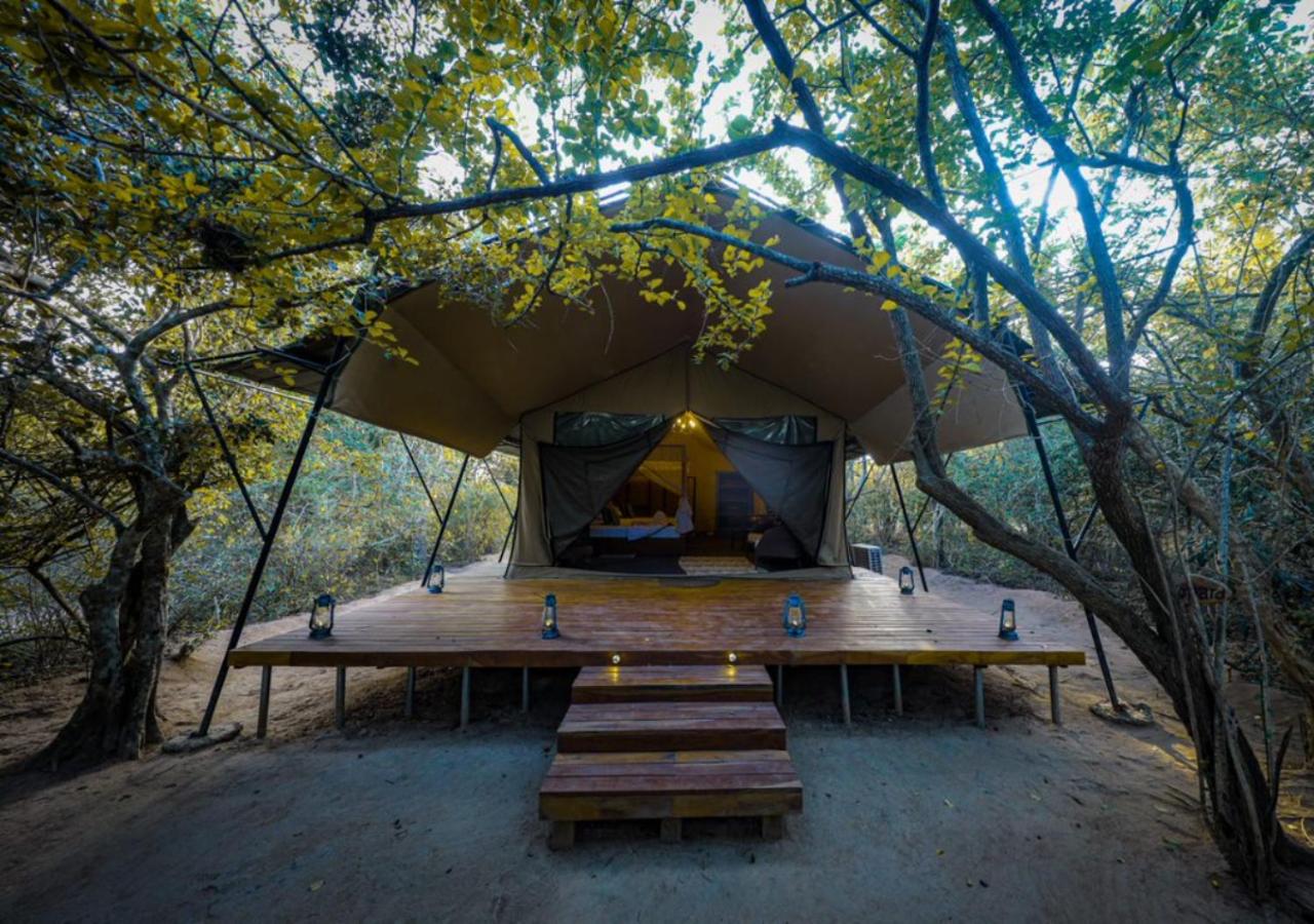 Deluxe Leopard Tent with Private Pool (10% off on Wildlife Safaris) photo 2