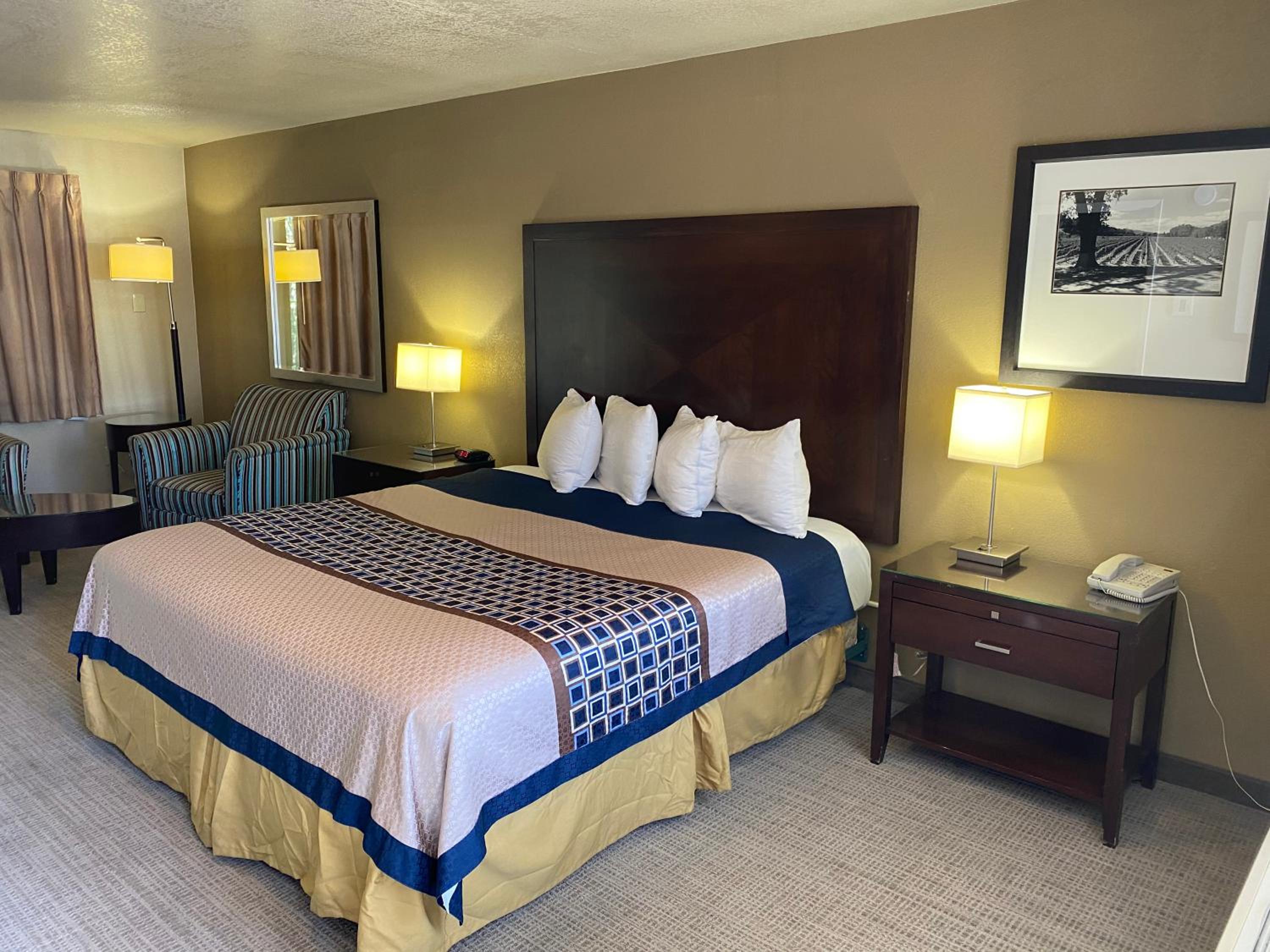 Deluxe Suite - Photo 5