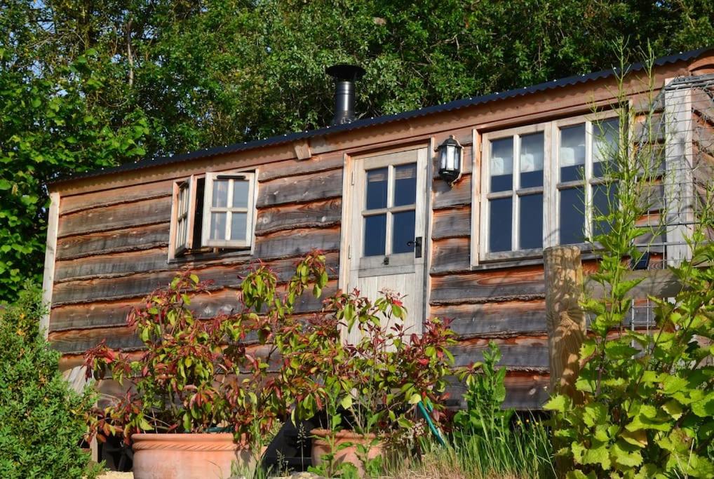 One-Bedroom Chalet - Photo 5