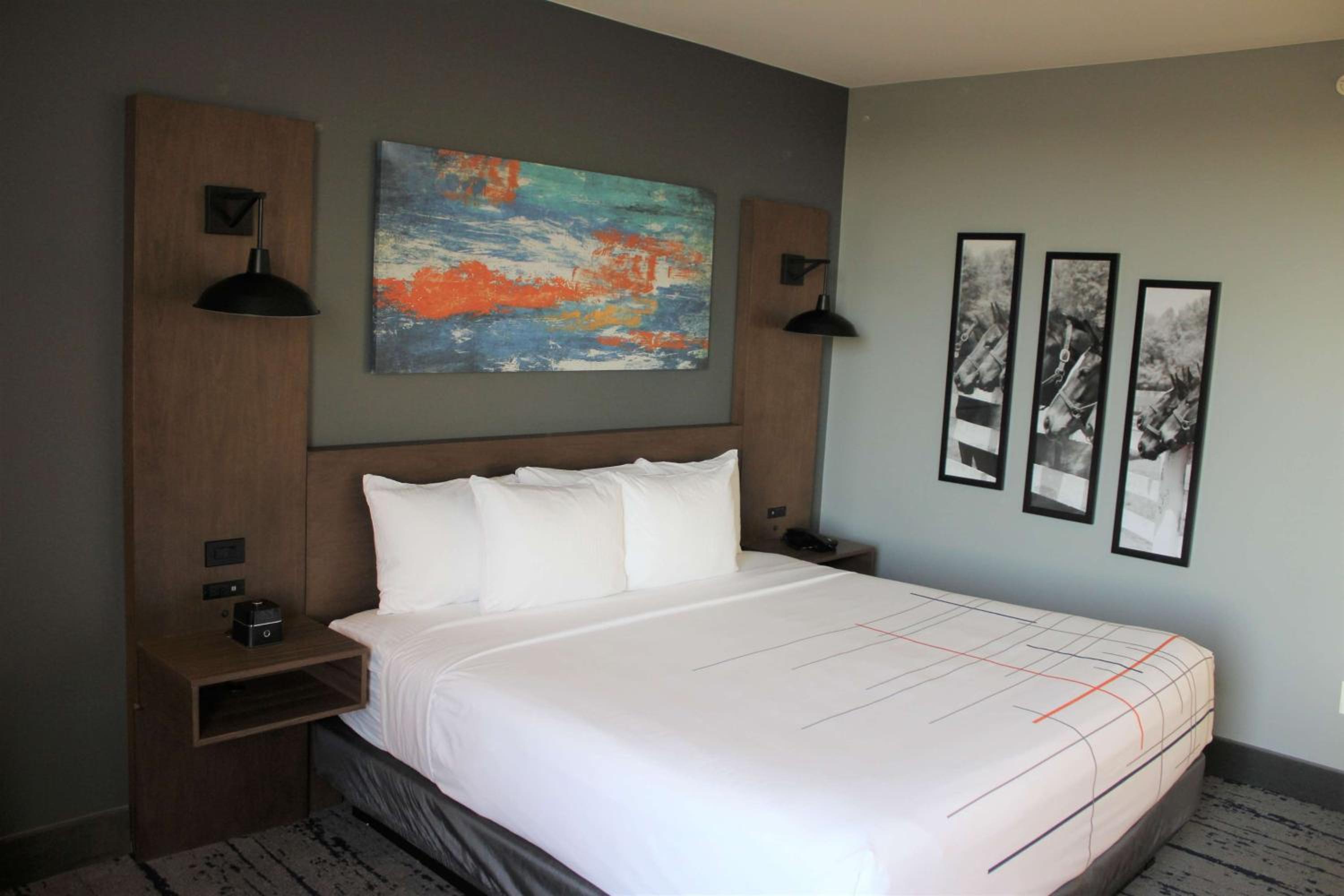King Room - Non-Smoking - Photo 4