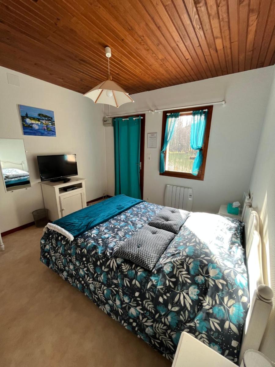 Double Room photo 1