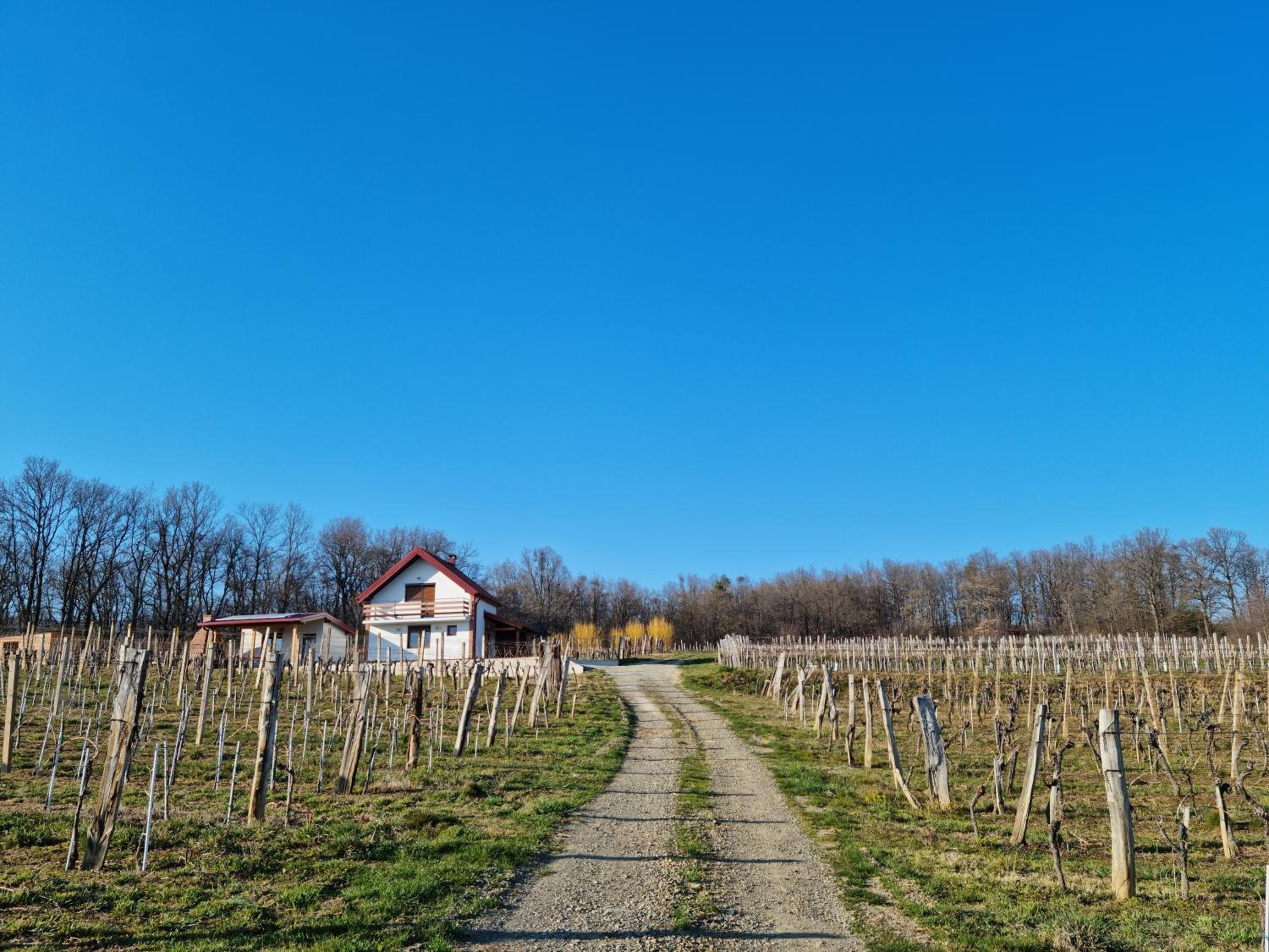 Vacation Home - Photo 10