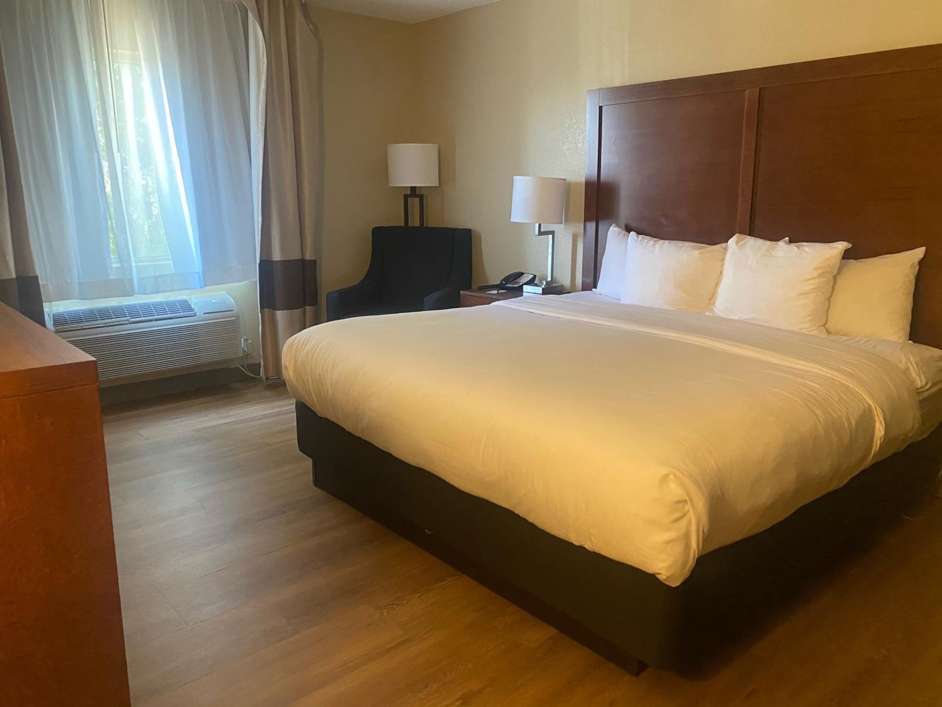 Standard King Room with Roll-in Shower - Accessible/Non-Smoking - Photo 4