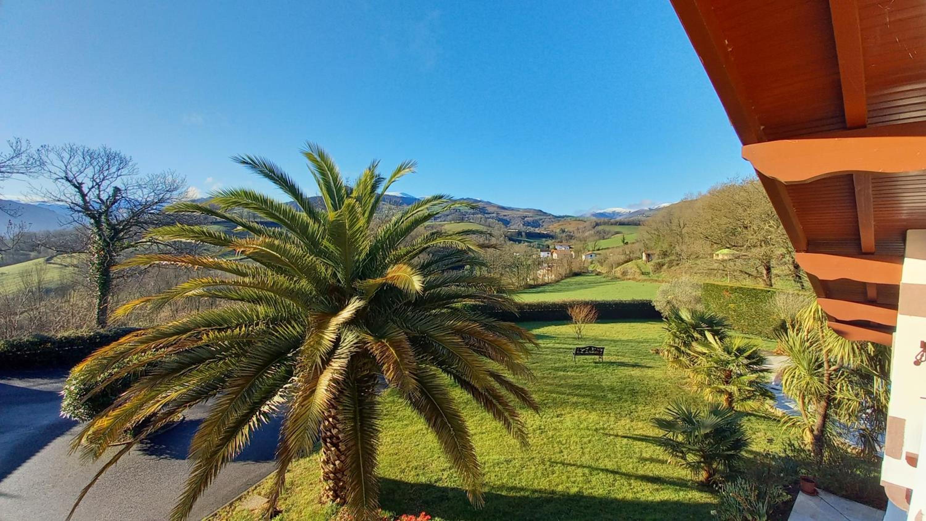 Double Room with Mountain View photo 3