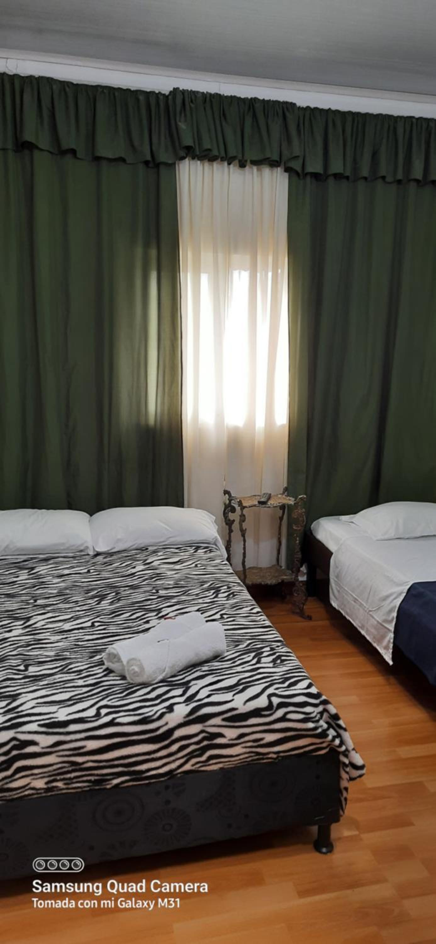Twin Room photo 2