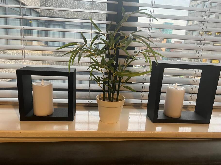 One-Bedroom Apartment - Photo 51