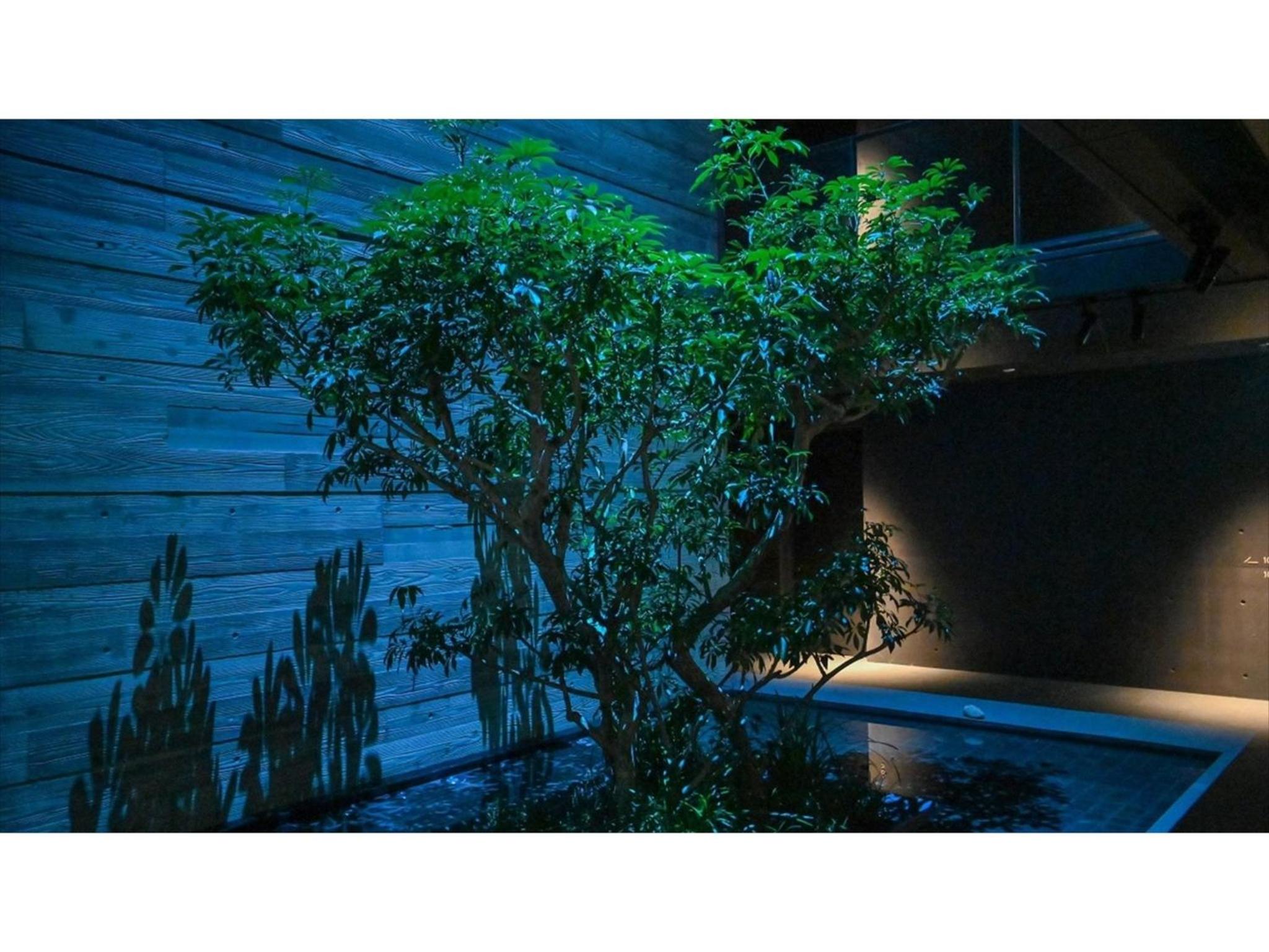 Studio - Photo 27