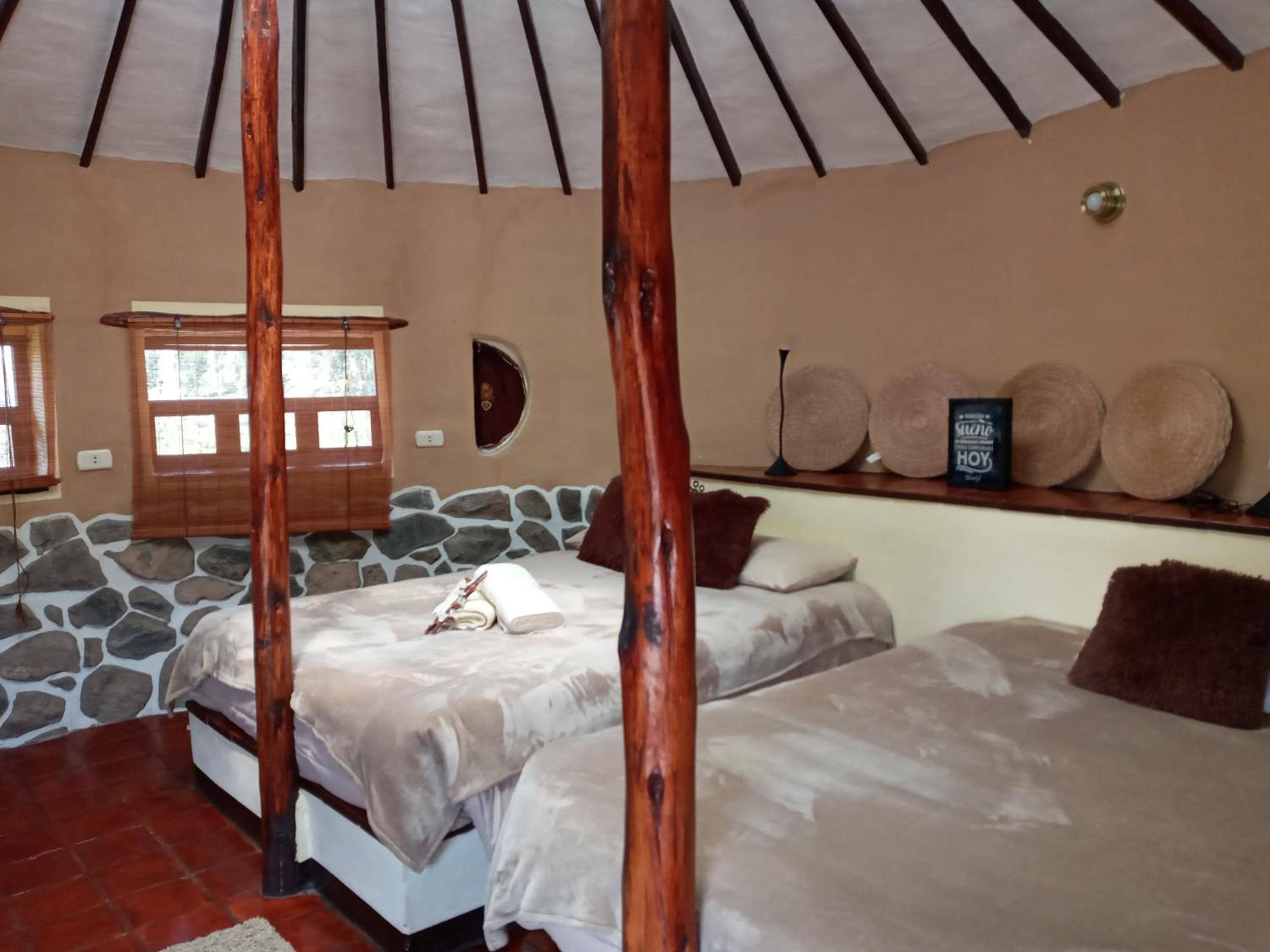 Twin Room photo 2