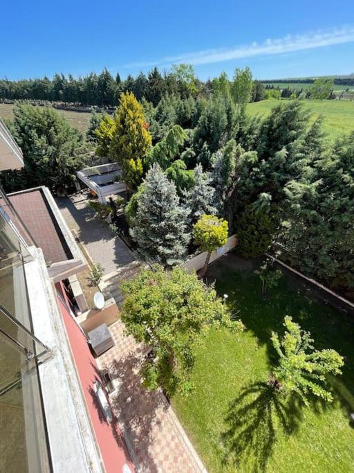 Deluxe Villa photo 2