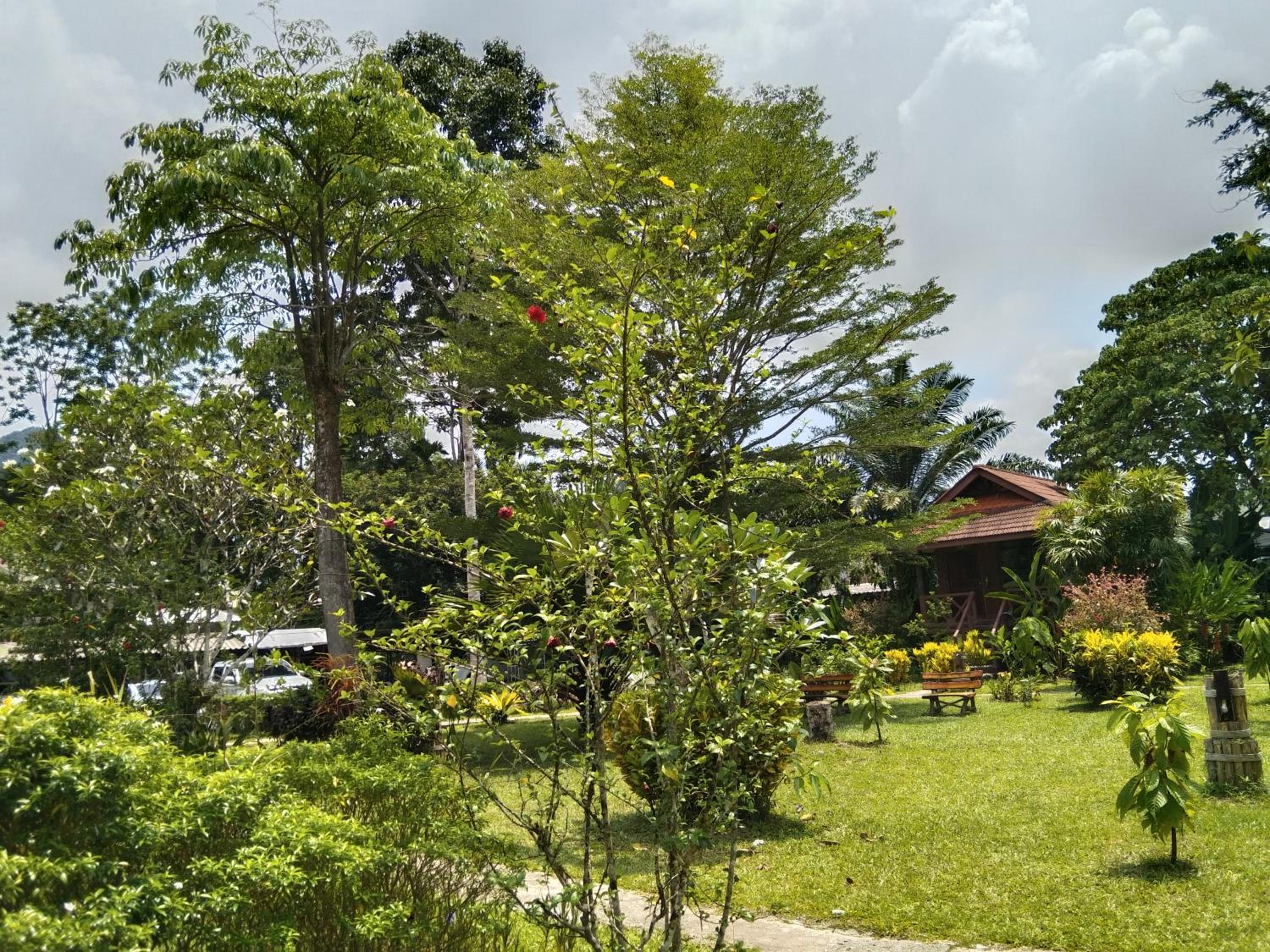 Queen Room with Garden View - Photo 22