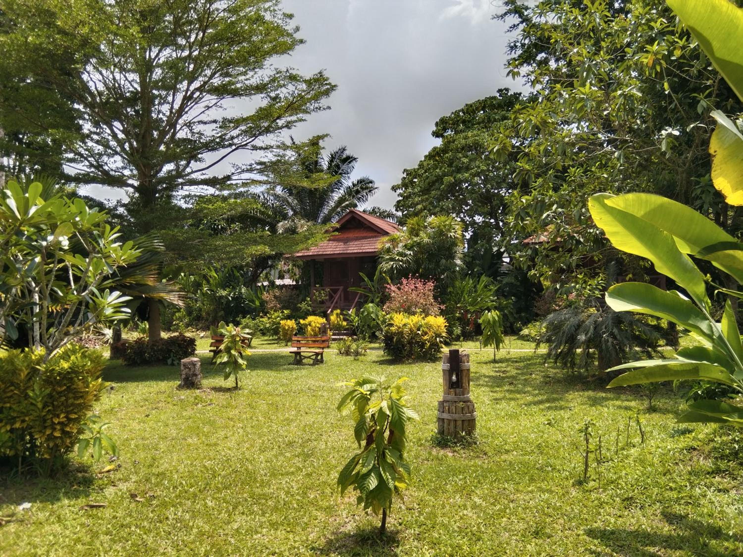 Queen Room with Garden View - Photo 32