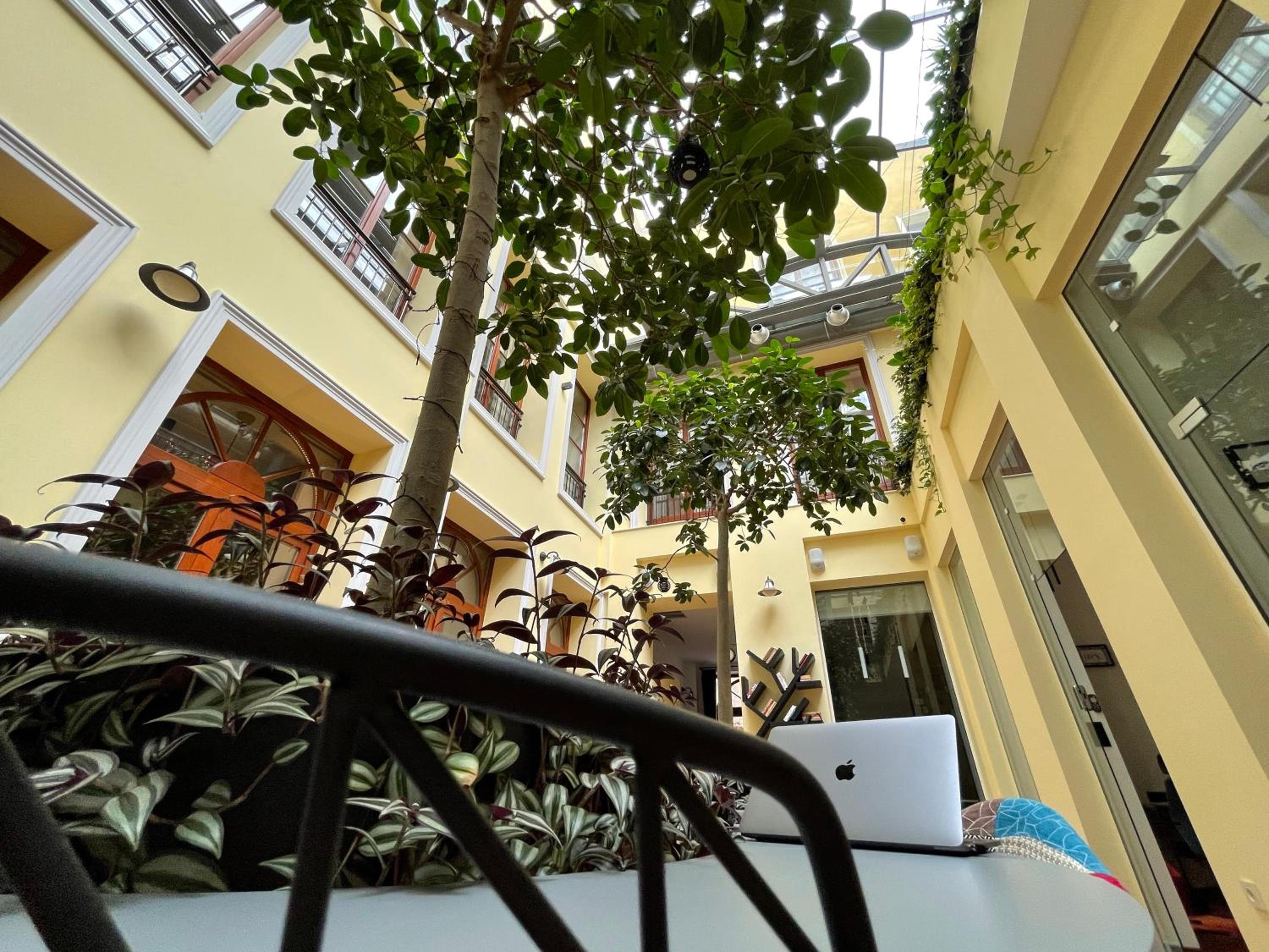 Family Suite - Photo 32