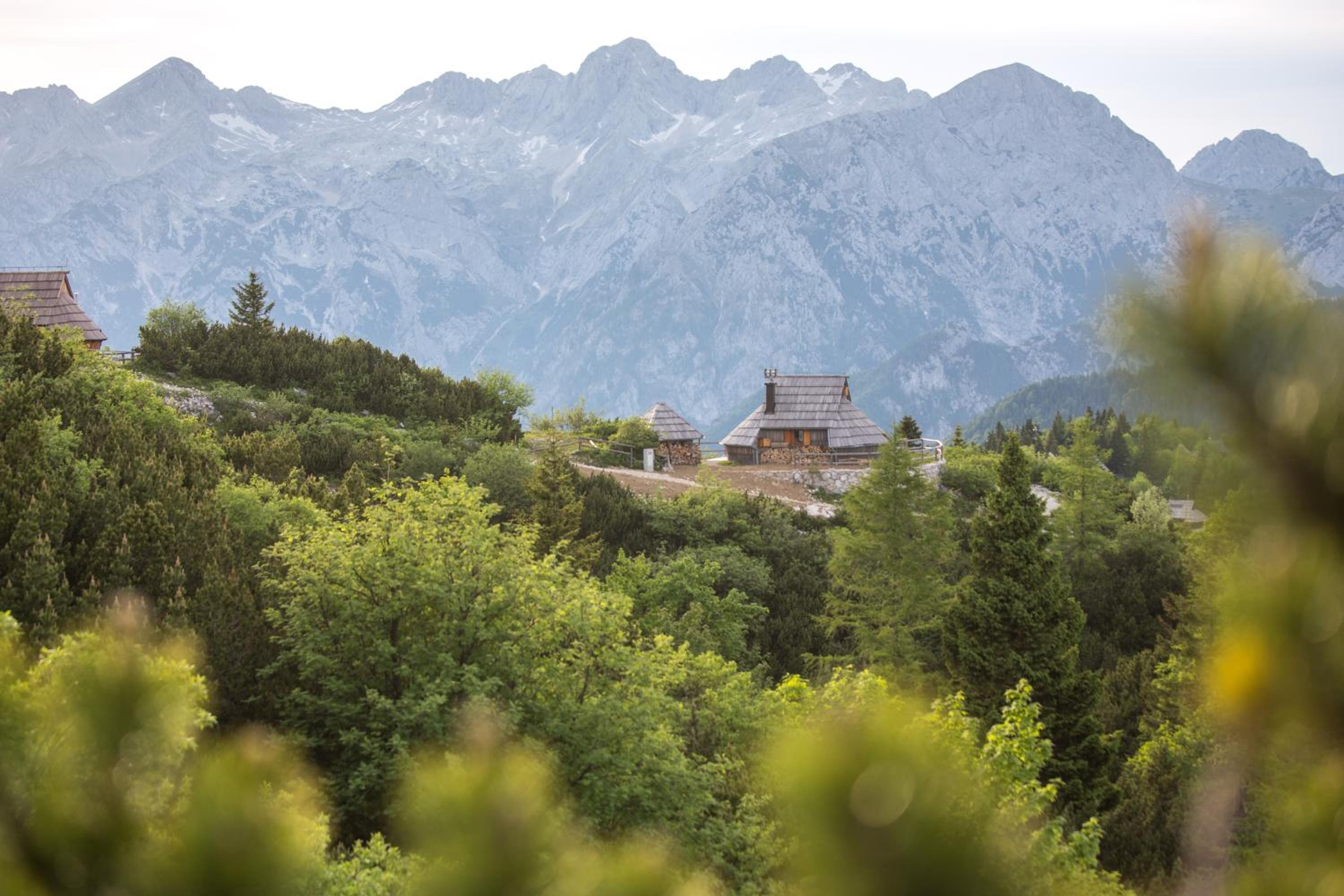 Two-Bedroom Chalet - Photo 34
