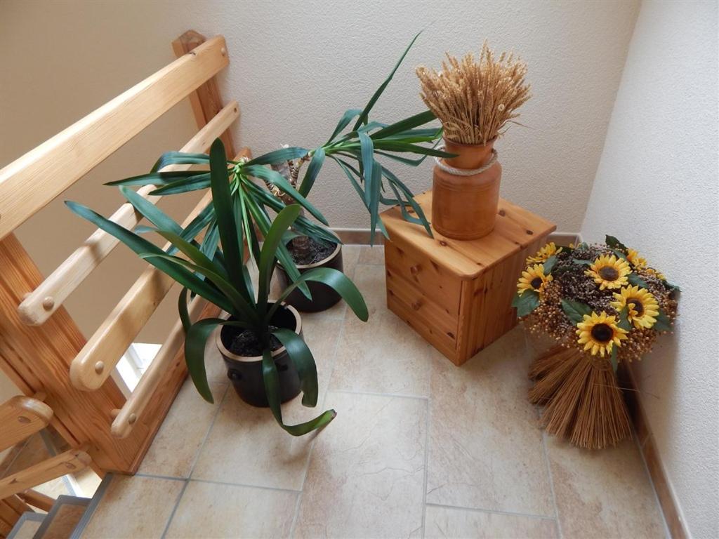 Apartment with Garden View photo 3