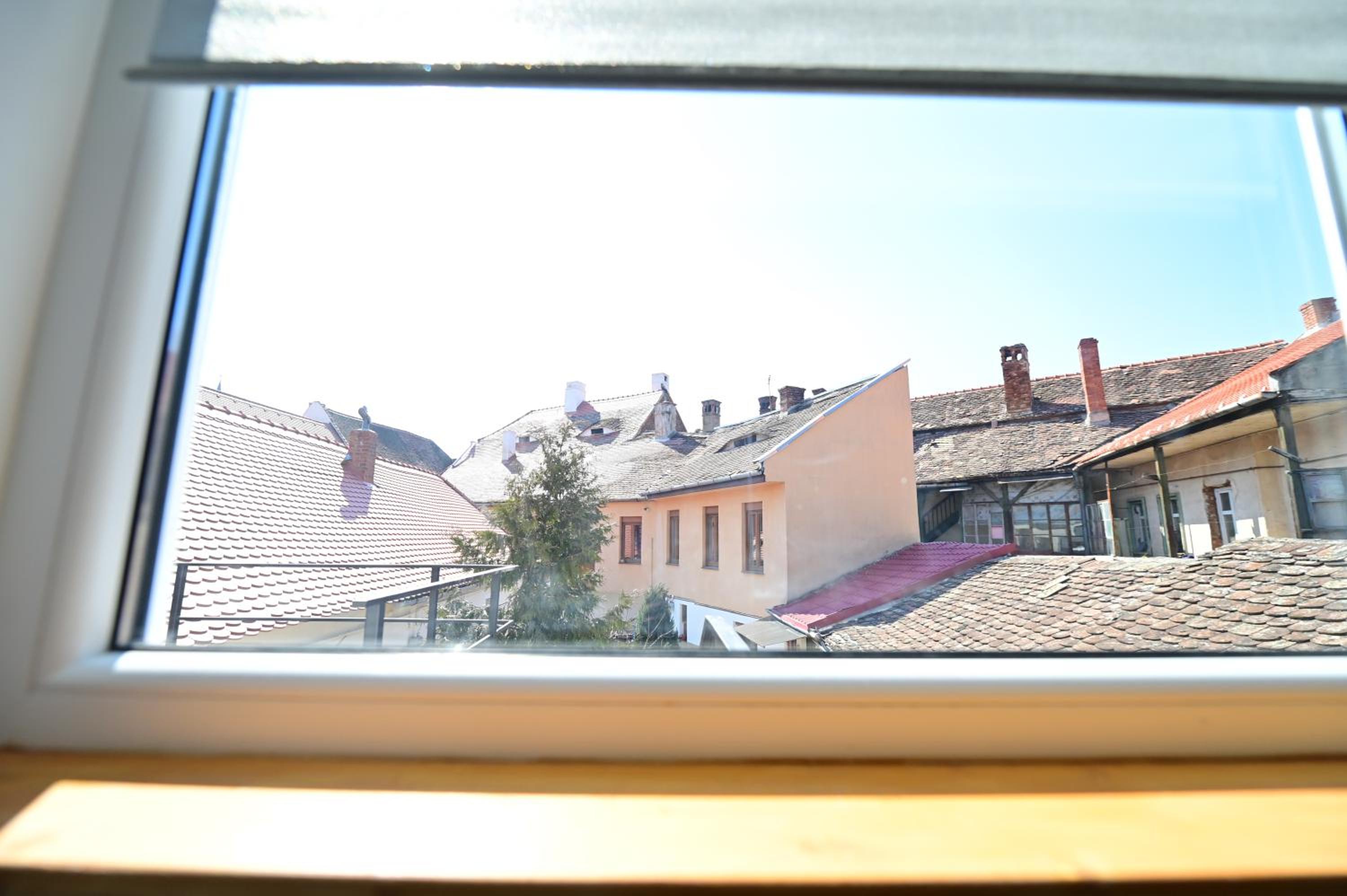 Family Room with Garden View - Photo 11