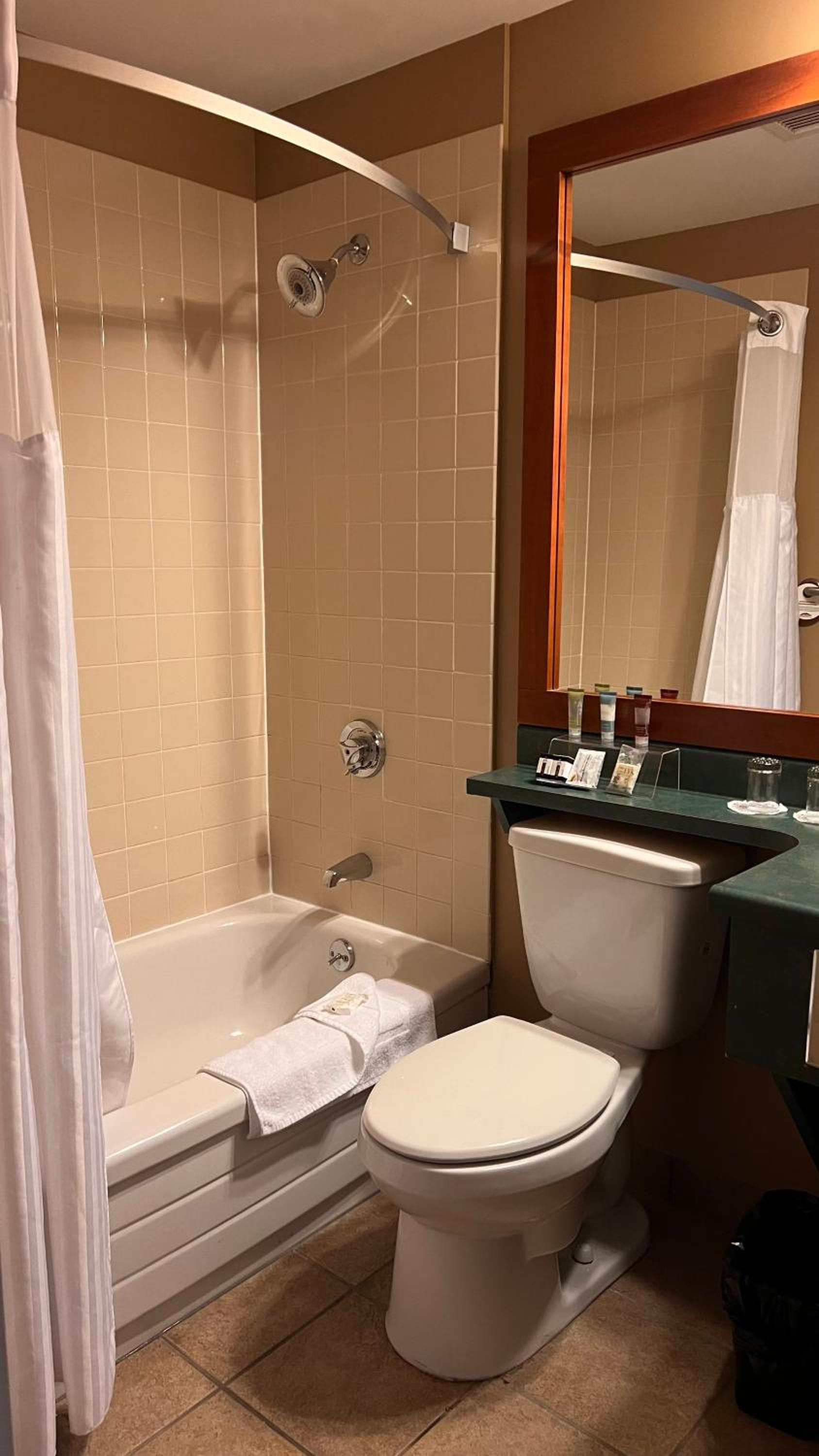 Deluxe Queen Room photo 3