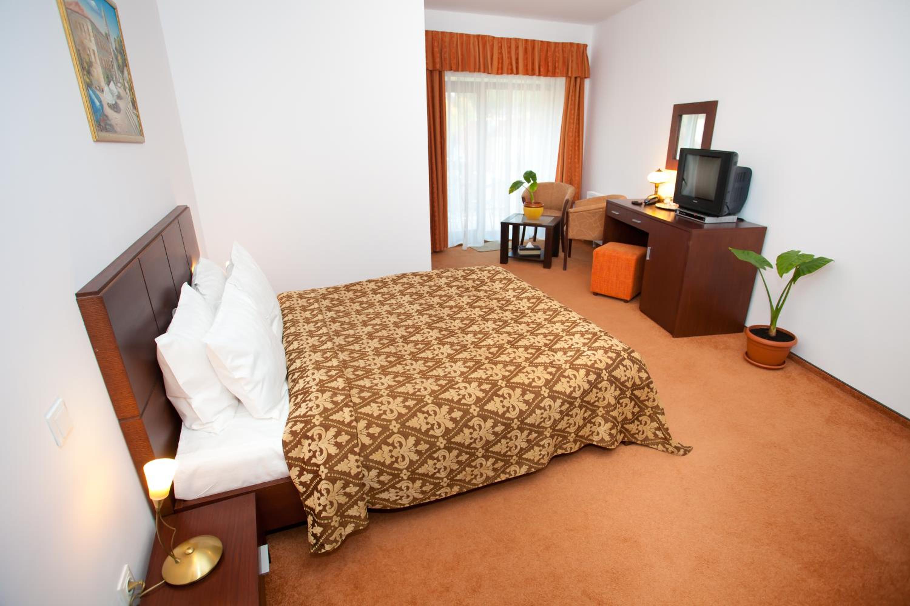 Double Room with Mountain View - Photo 9