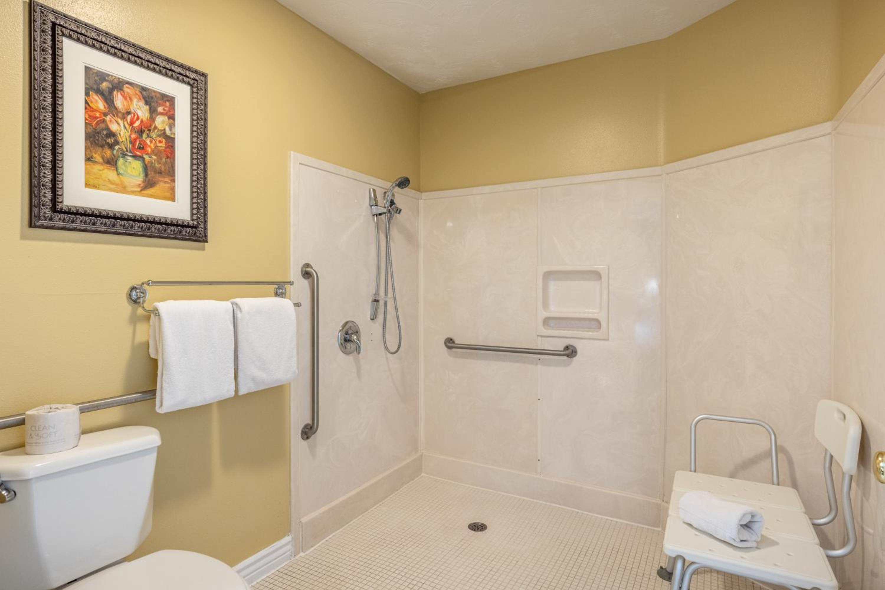 Deluxe King Room - Accessible - No pets photo 2