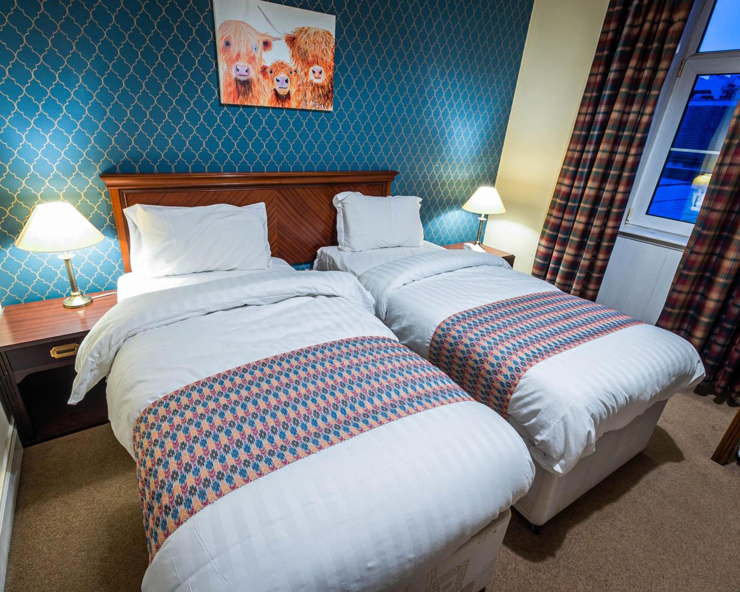 Twin Room photo 2