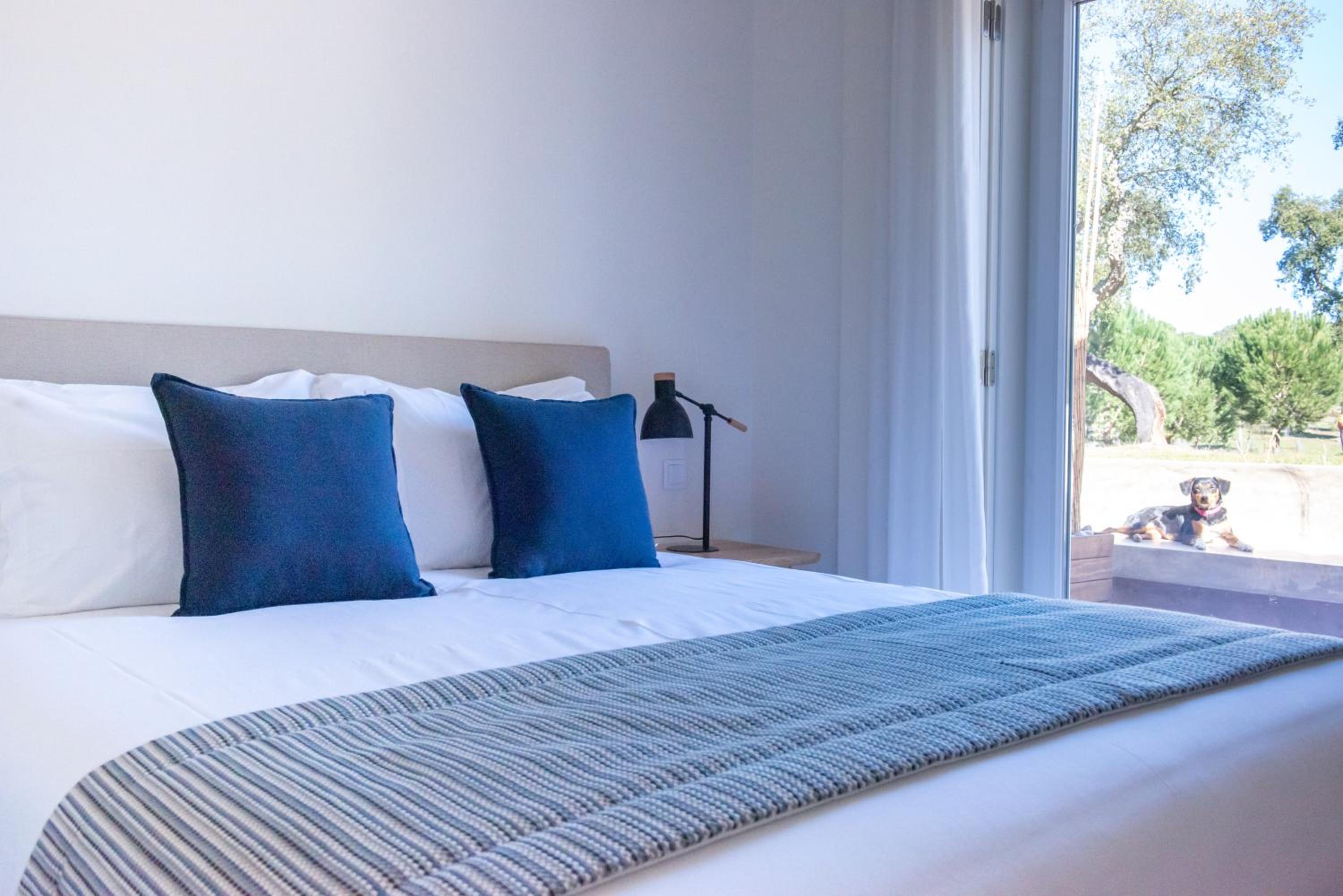 Double Room with Terrace - Photo 2