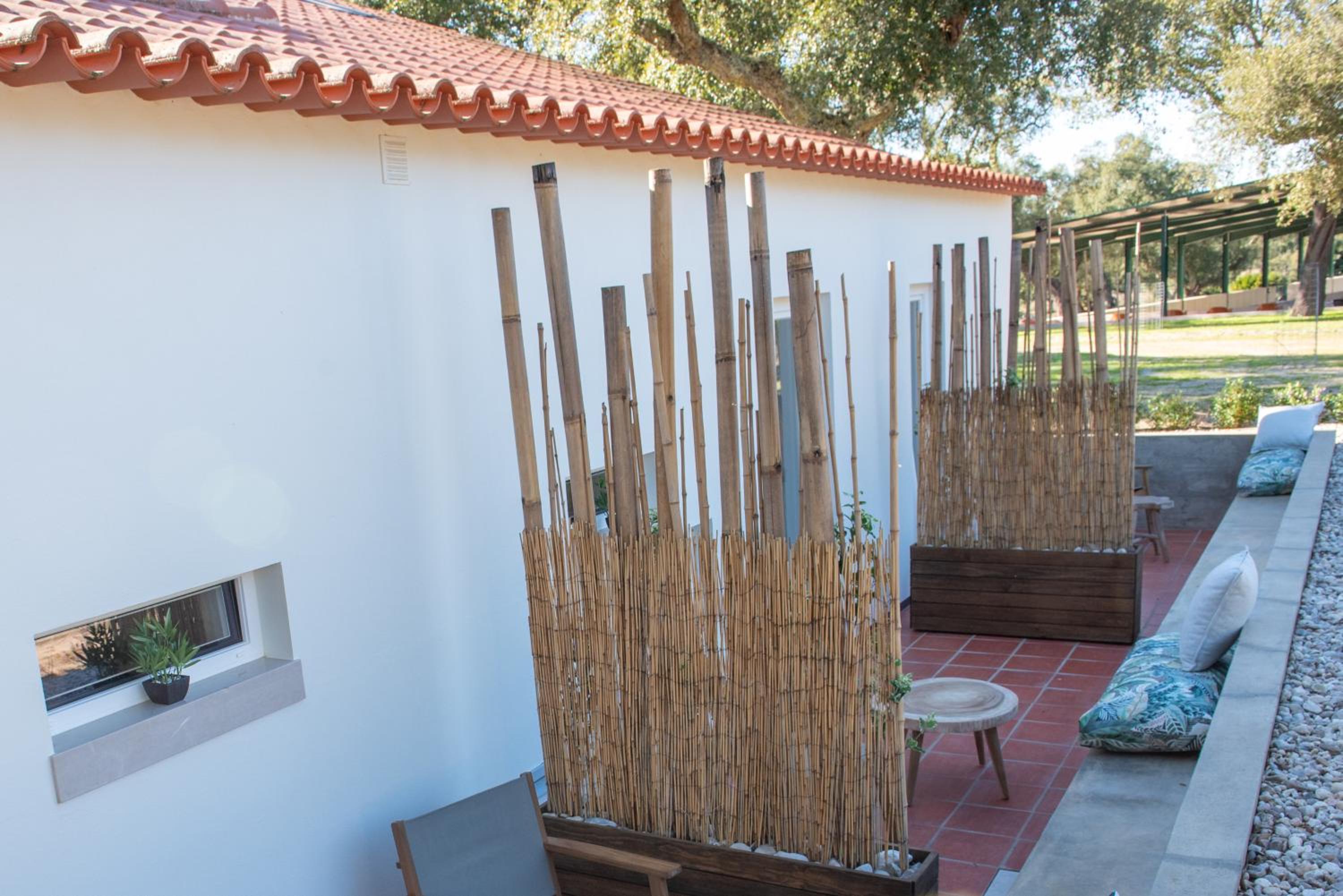 Double Room with Terrace - Photo 3