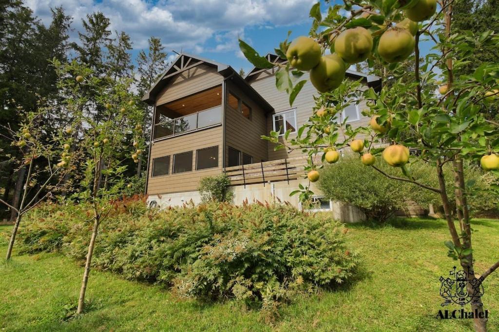 Chalet photo 3