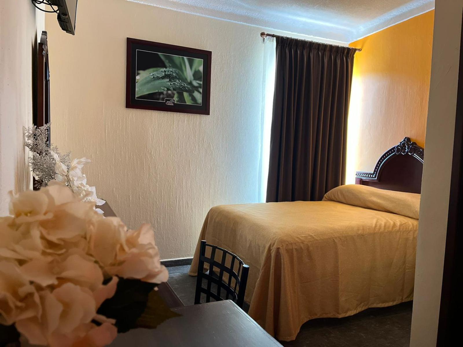 Double Room photo 1