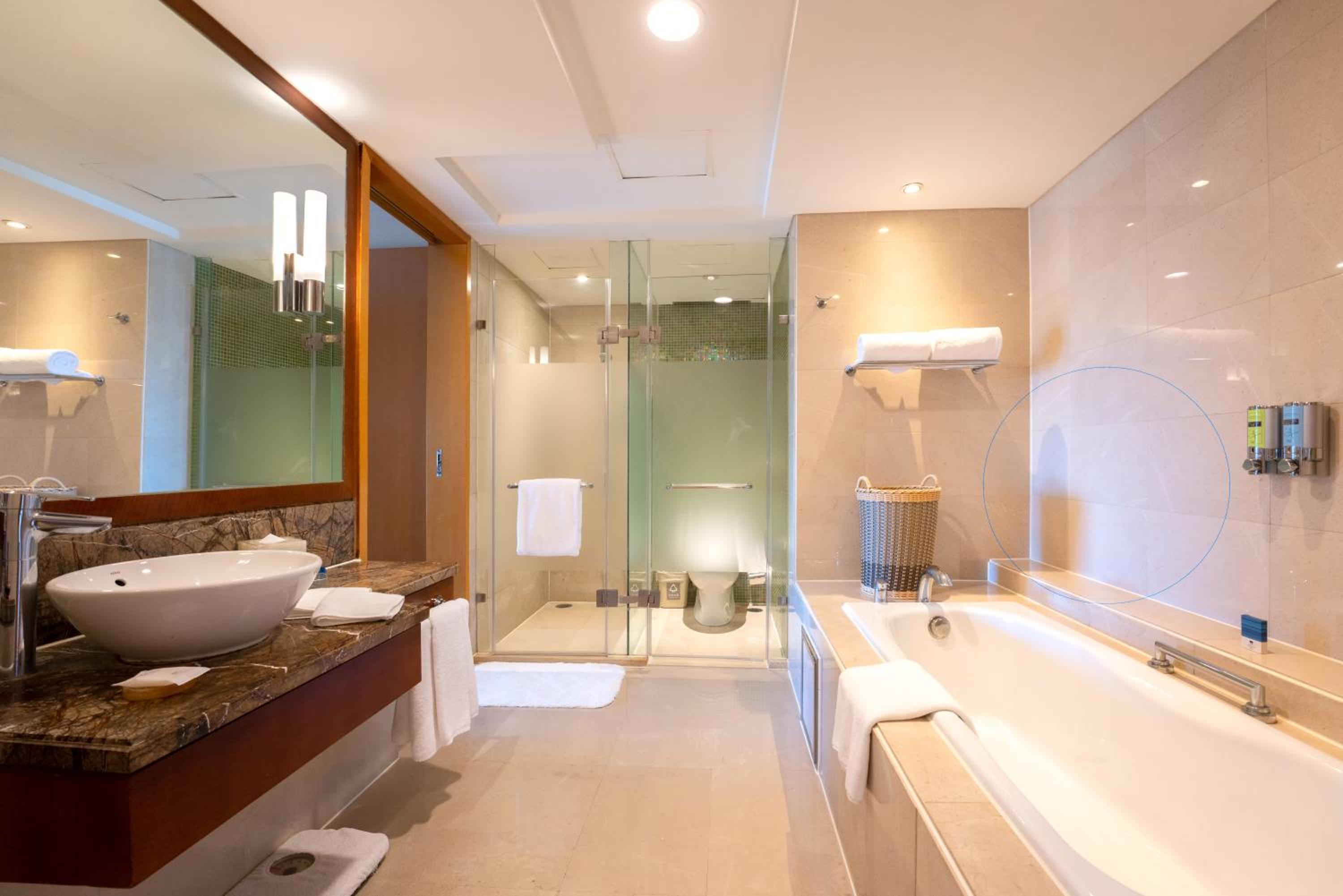 Deluxe Suite - Photo 4