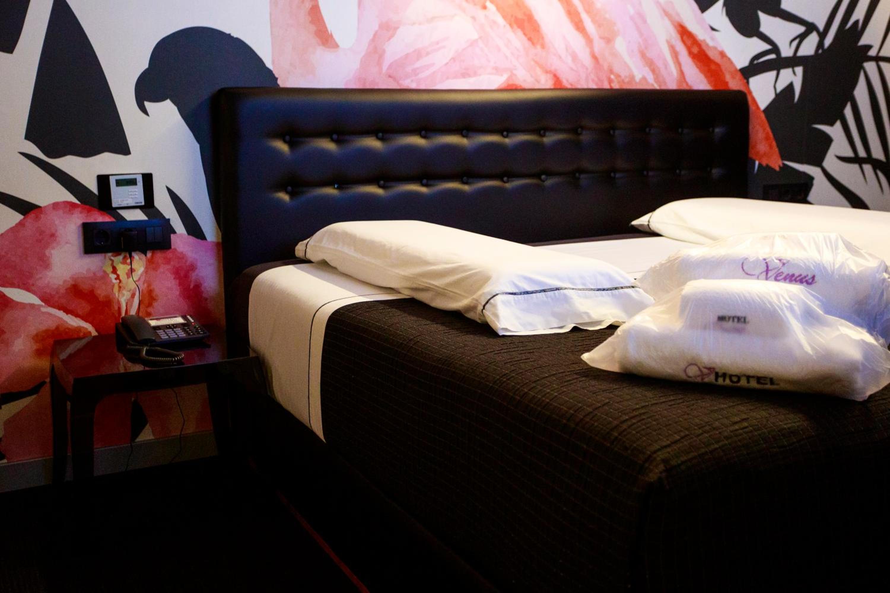 Double Room - Photo 14