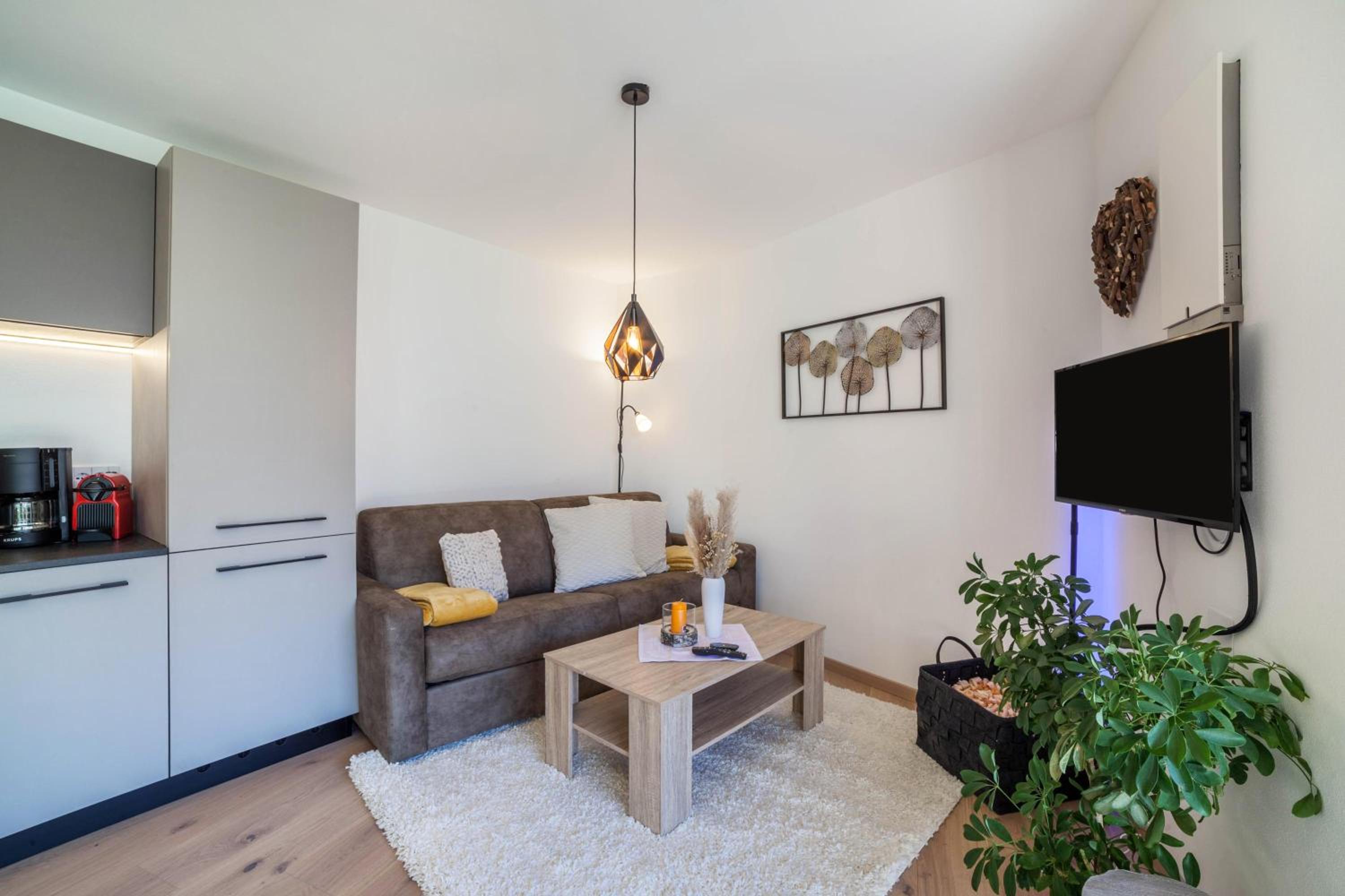One-Bedroom Apartment with Garden View photo 1