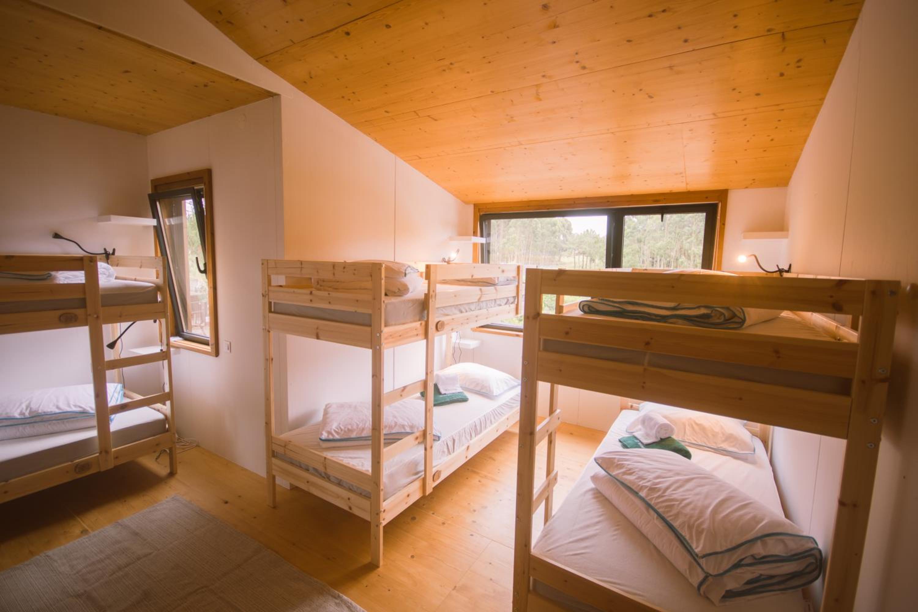 Bunk Bed in Mixed Dormitory Room