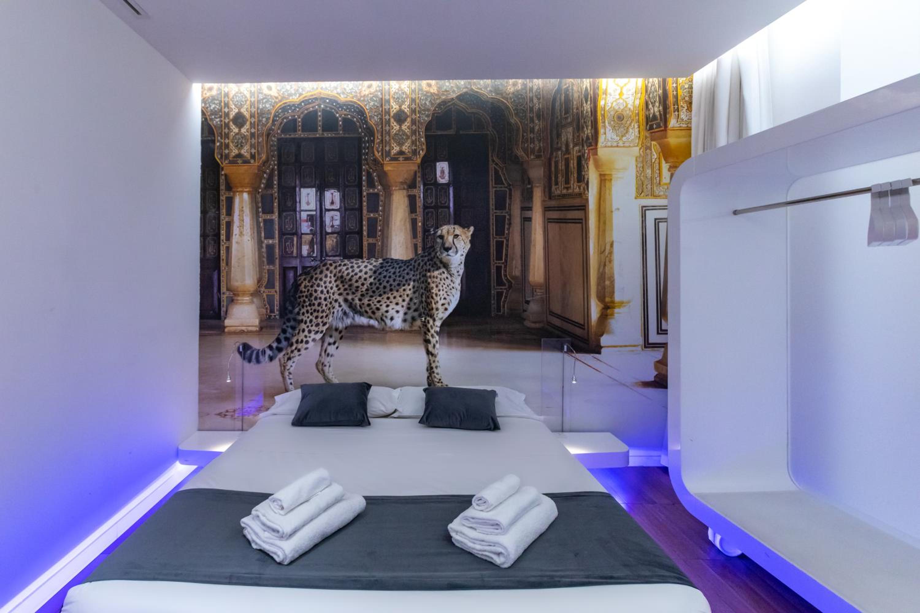 Junior Suite photo 1