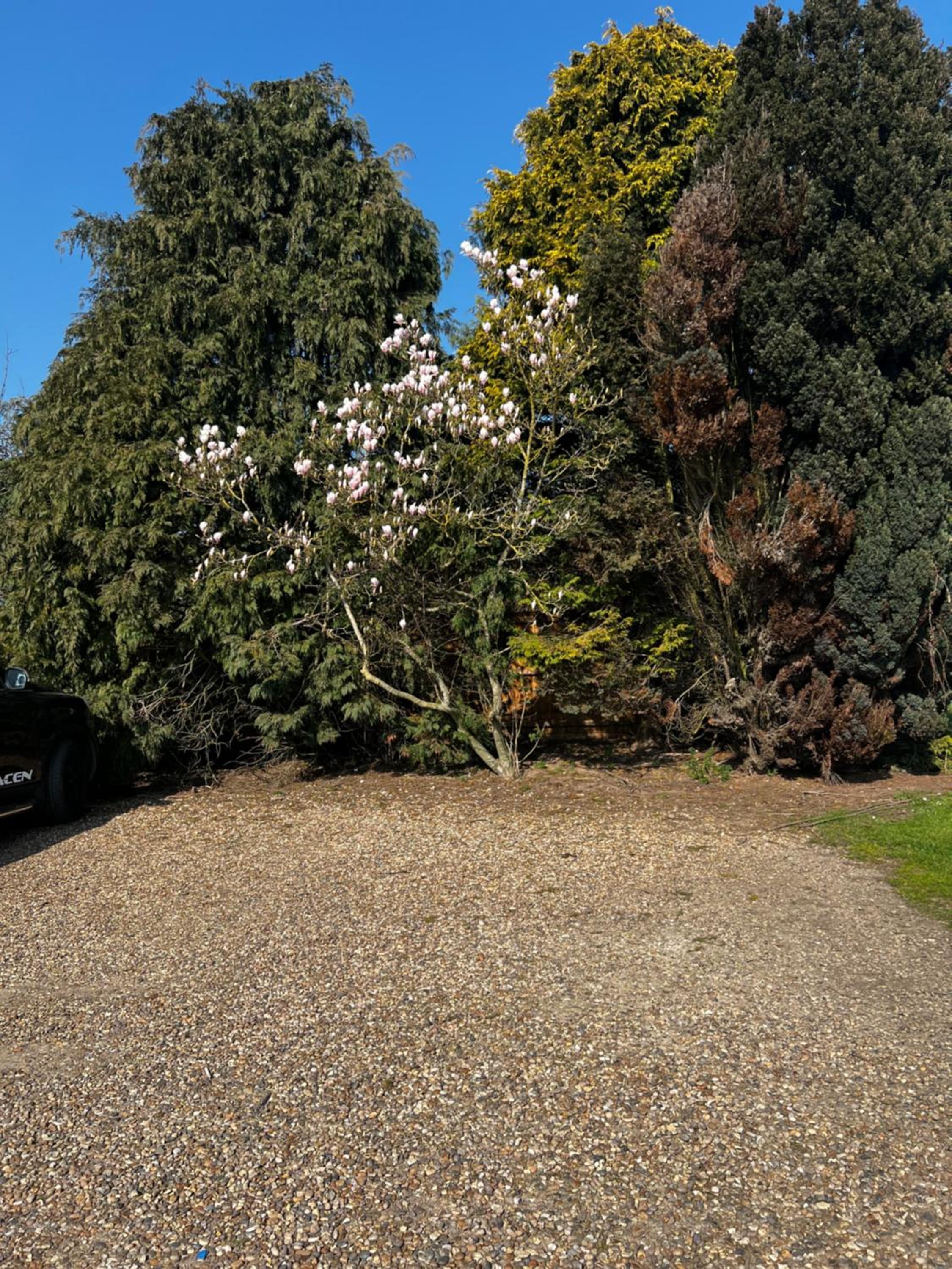 Mobile Home - Photo 5
