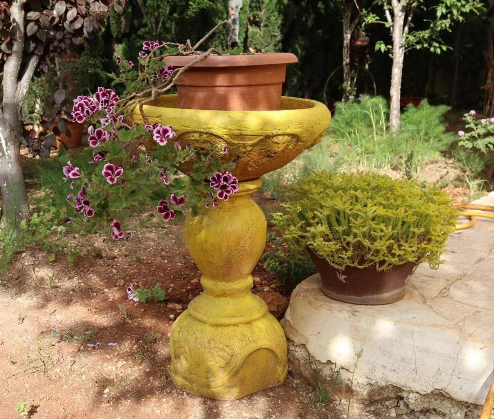 Villa - Photo 34