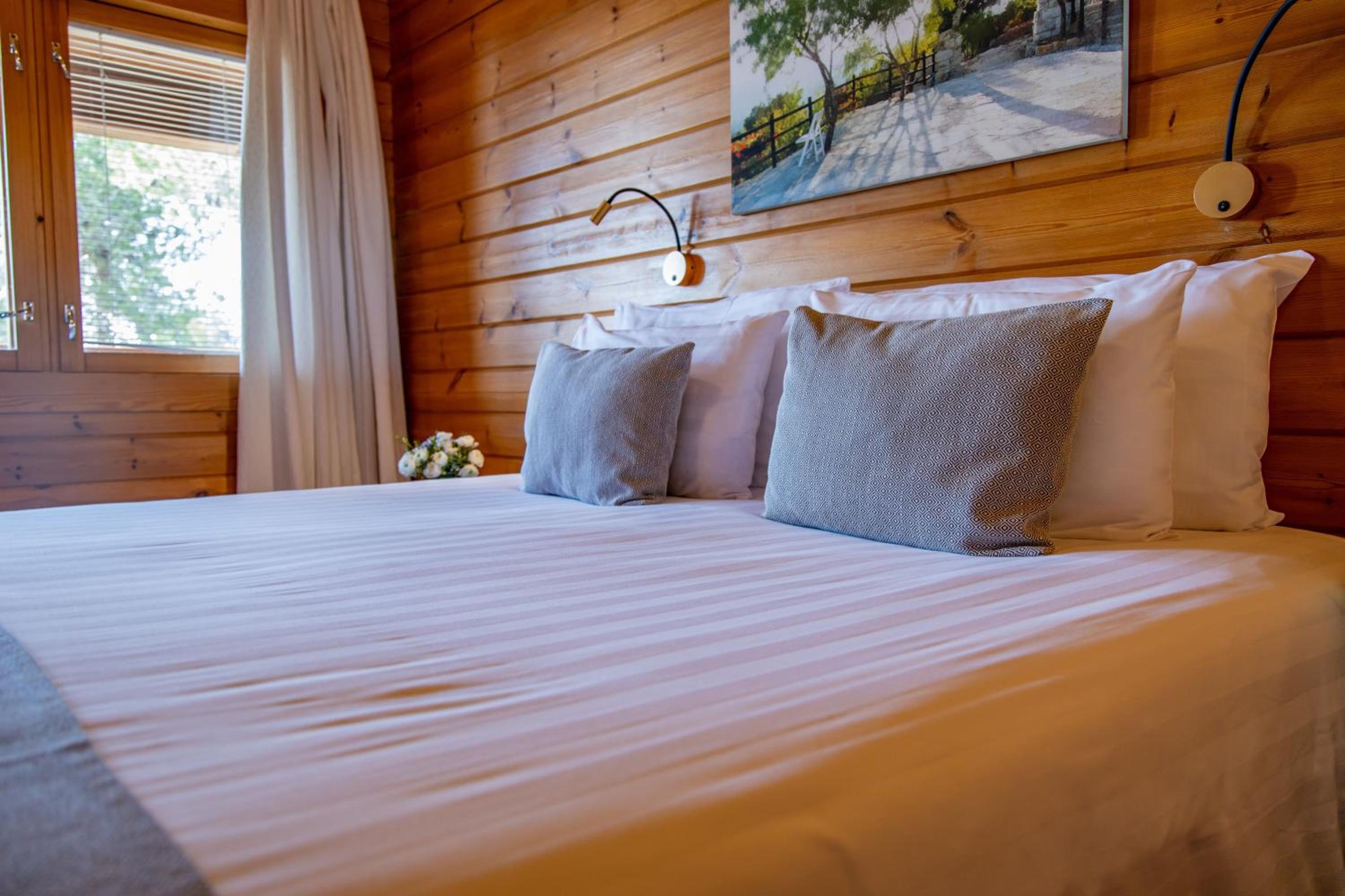  Classic Double or Twin Room - Photo 10