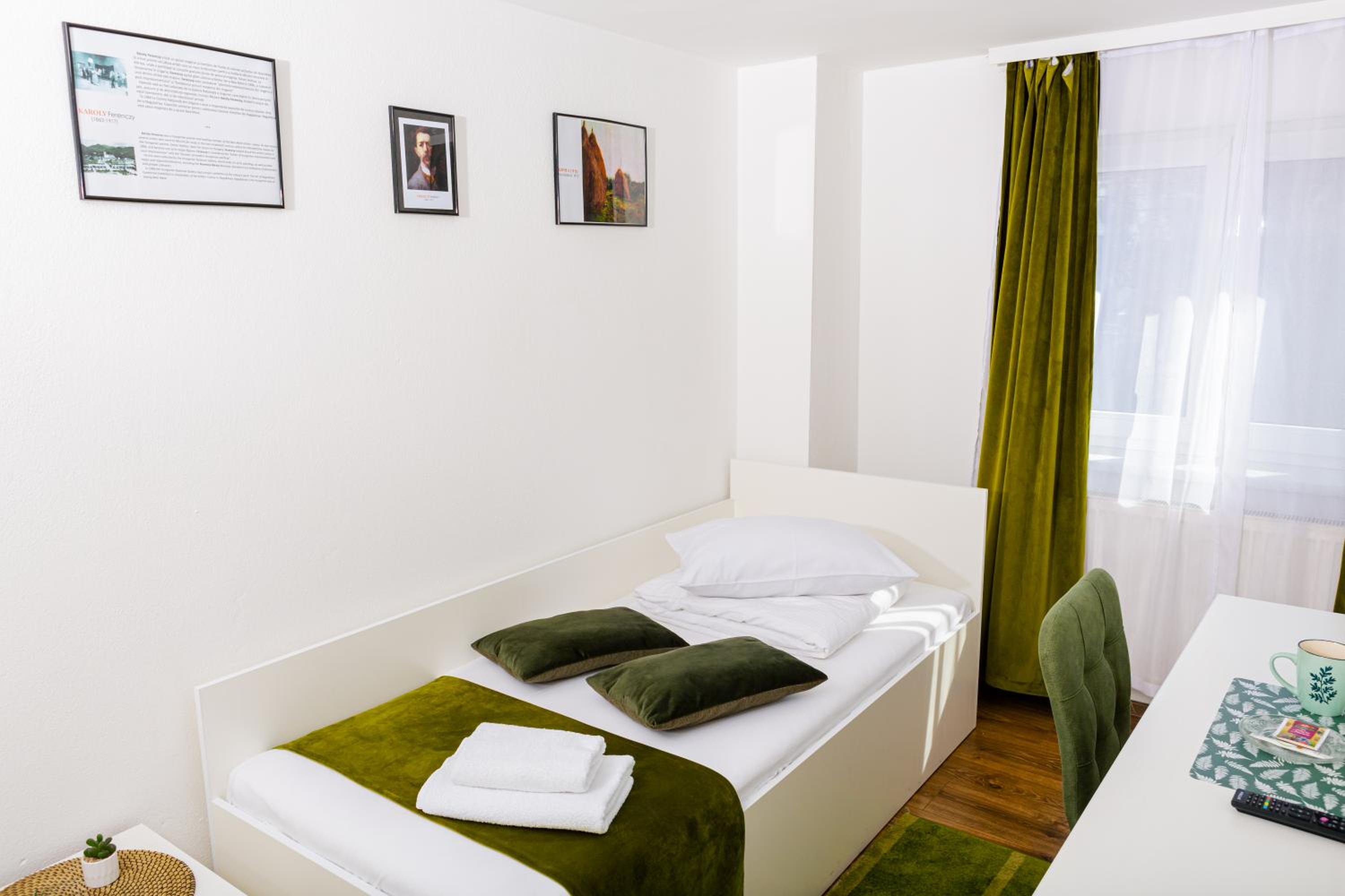 Deluxe Single Room photo 3