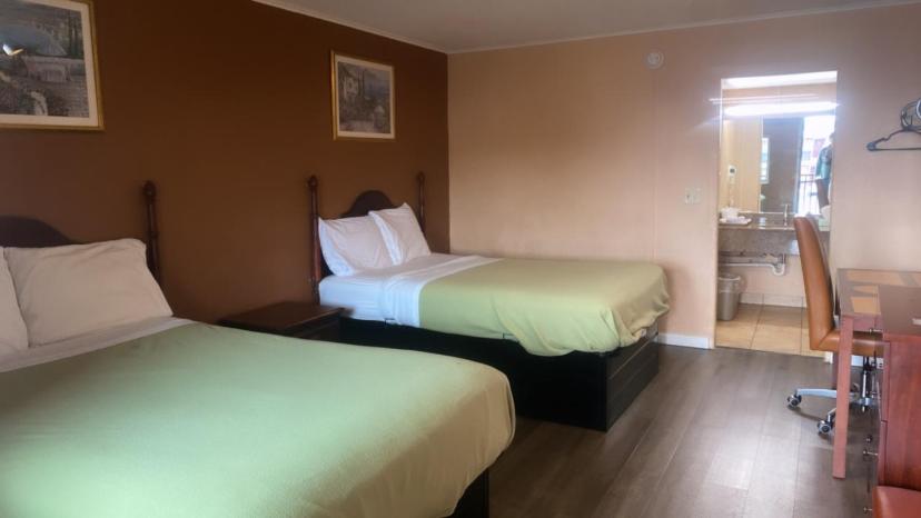 Standard Double Room photo 1