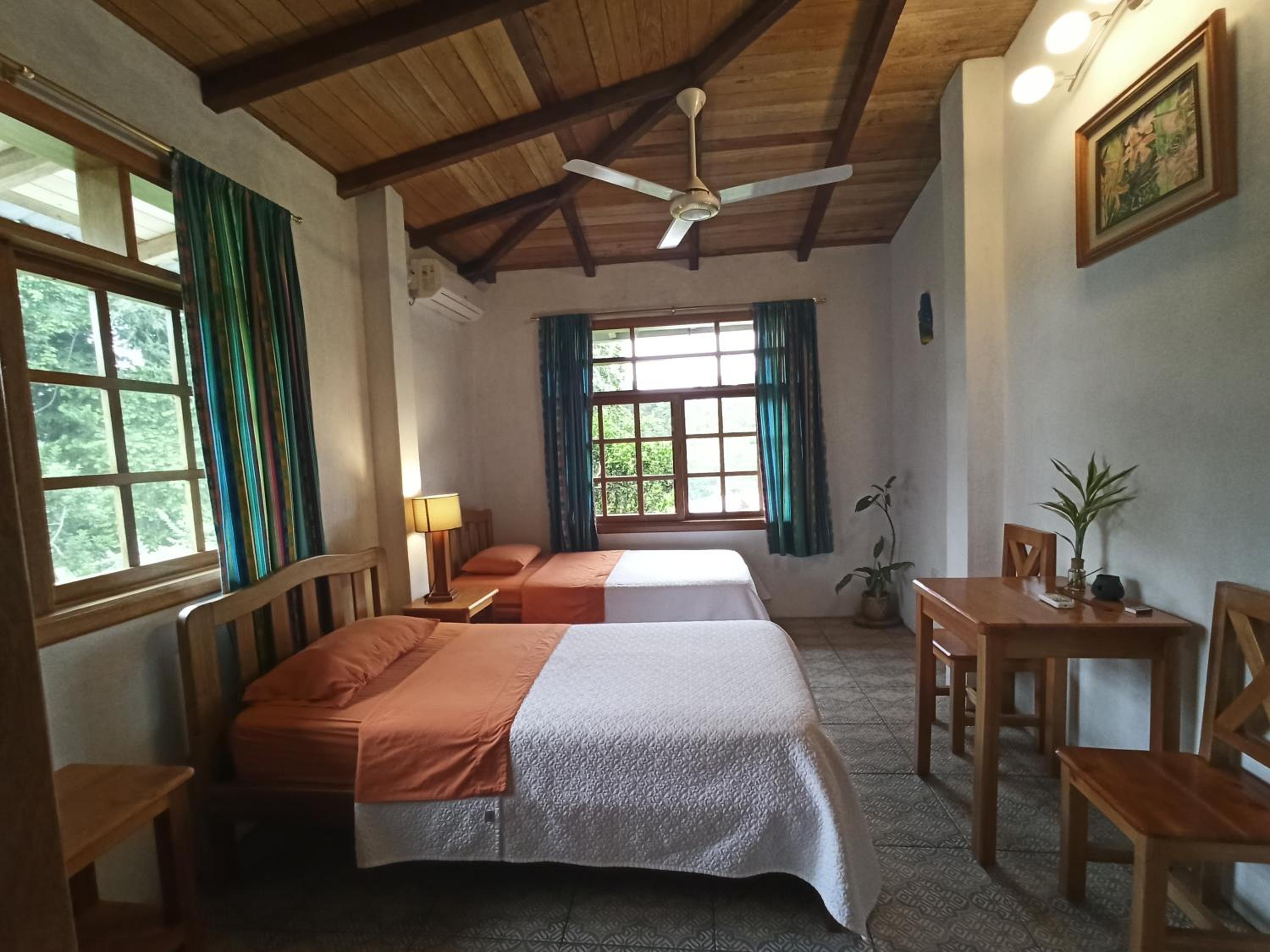 Deluxe Twin Room photo 1