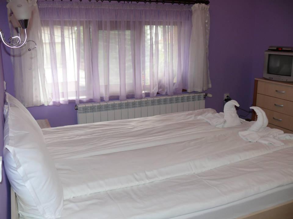 Double or Twin Room photo 3