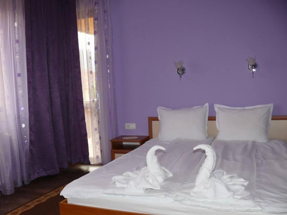 Double or Twin Room photo 1