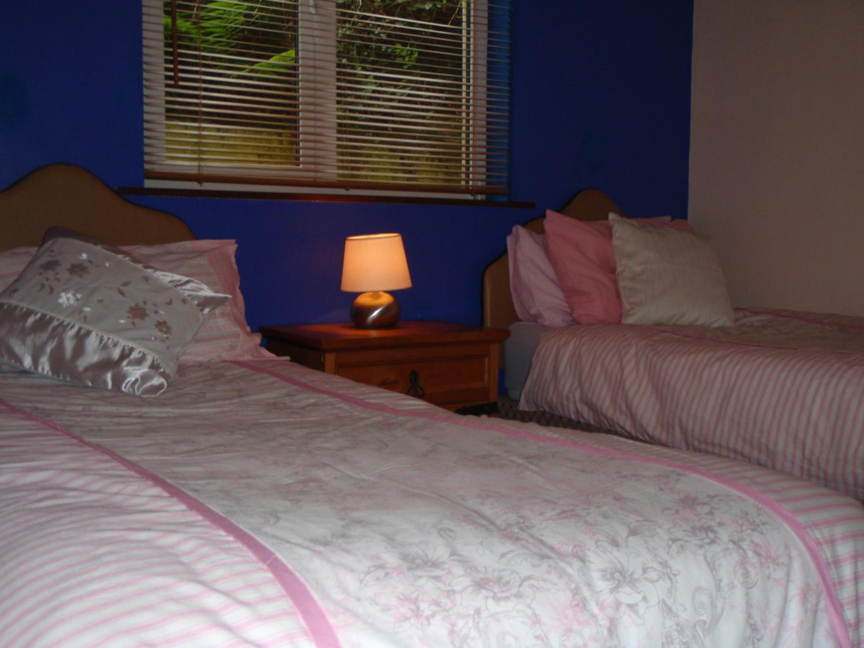 Double or Twin Room photo 1