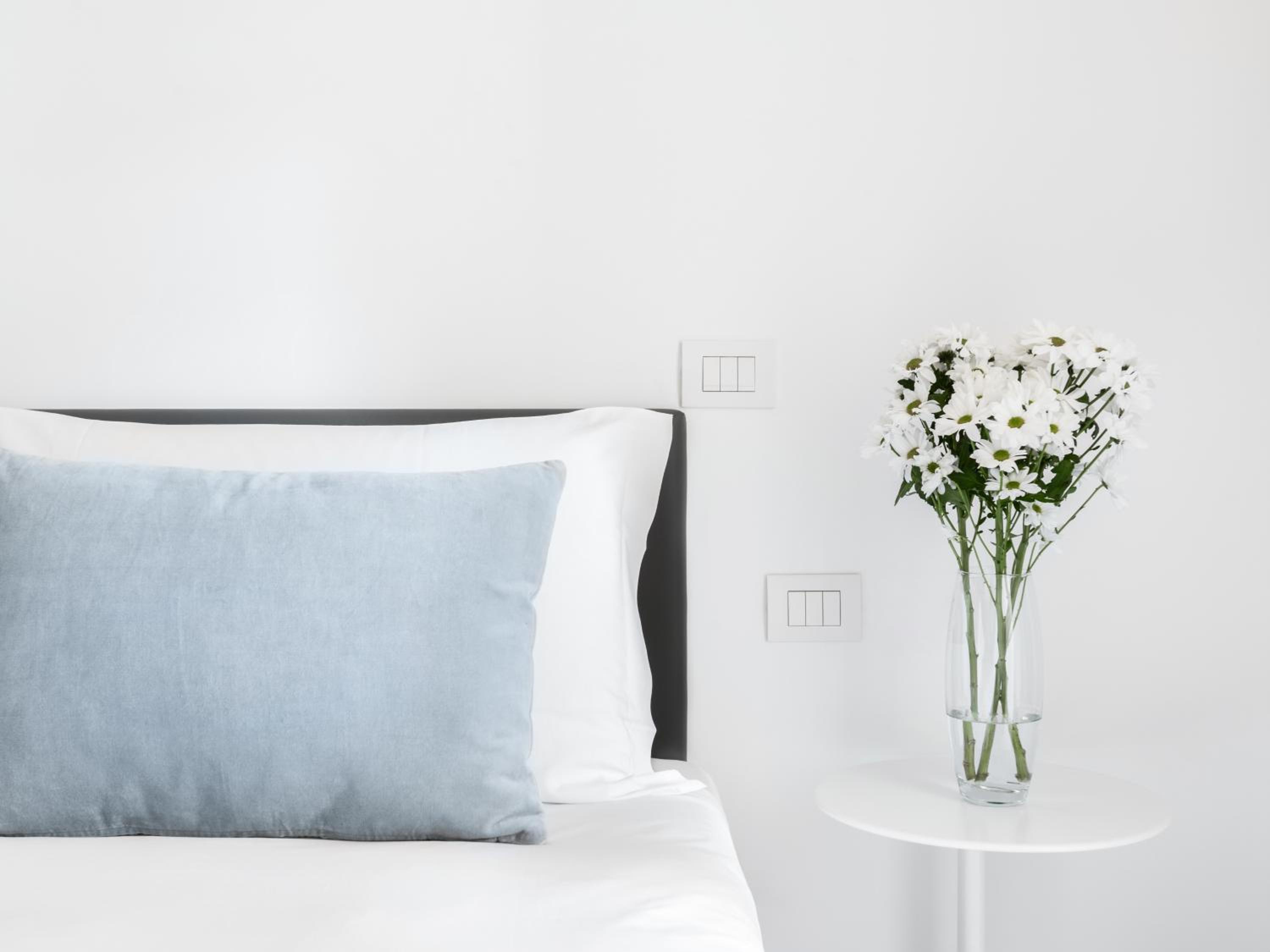 Medium Room with Extra Single Bed photo 3