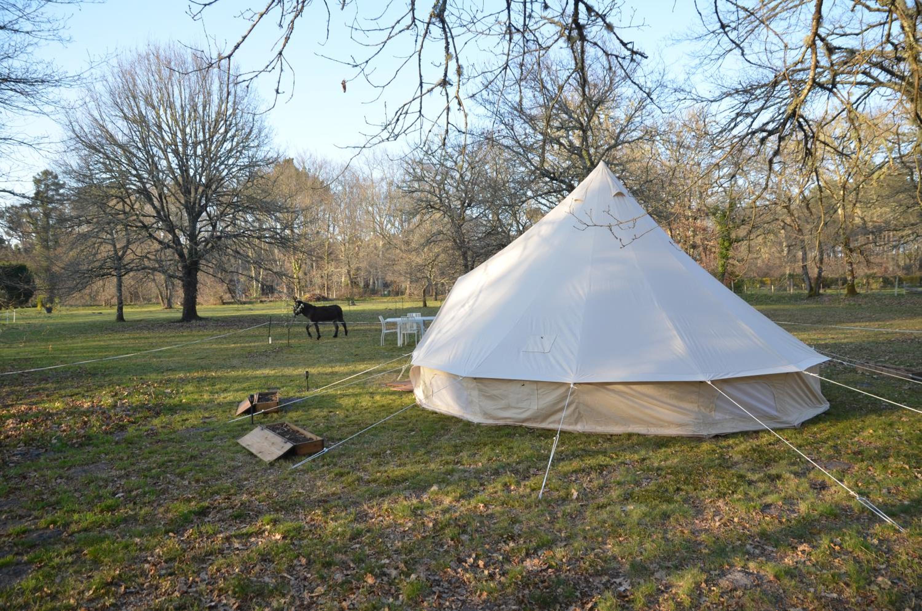 Tent - Photo 42