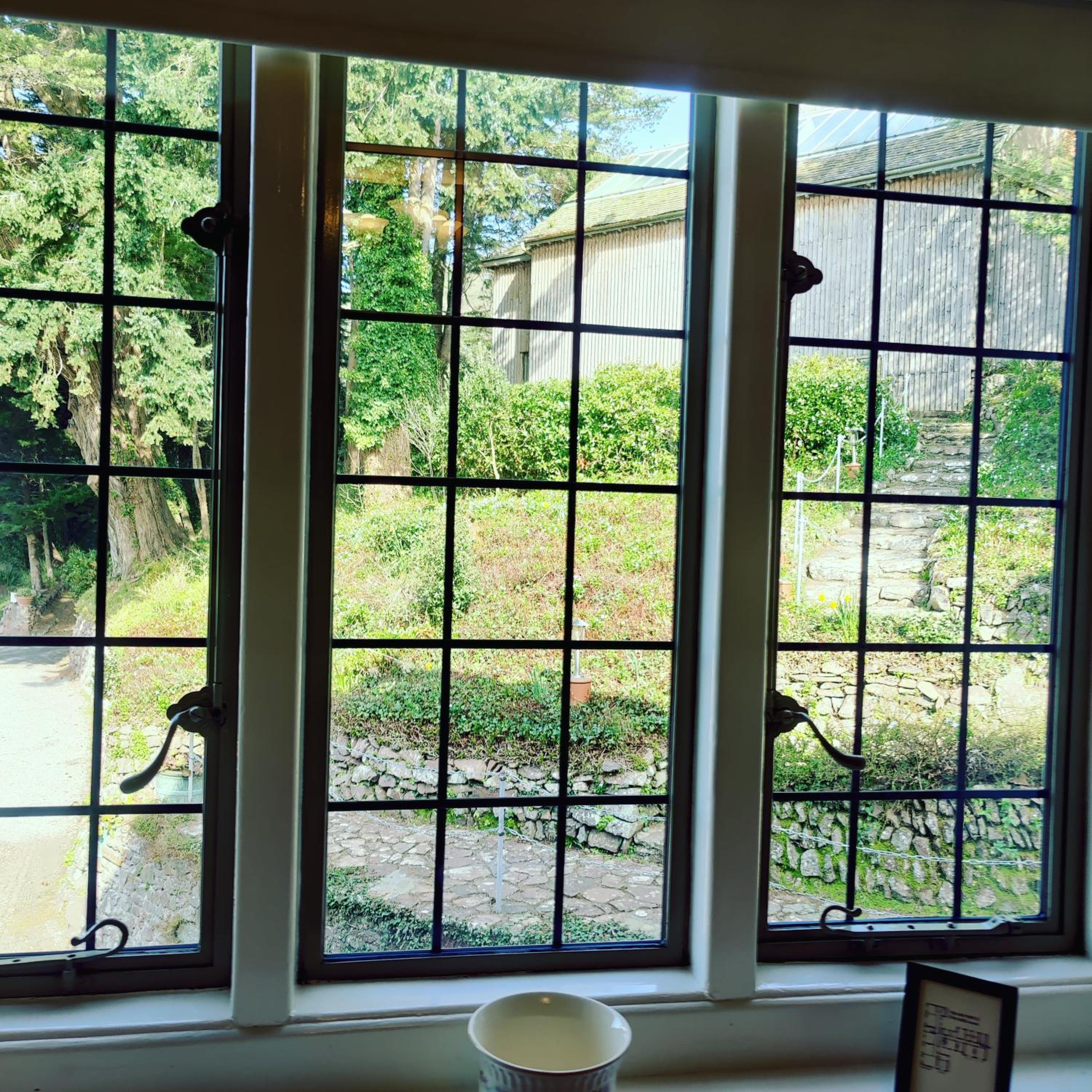 King Room with Garden View photo 2