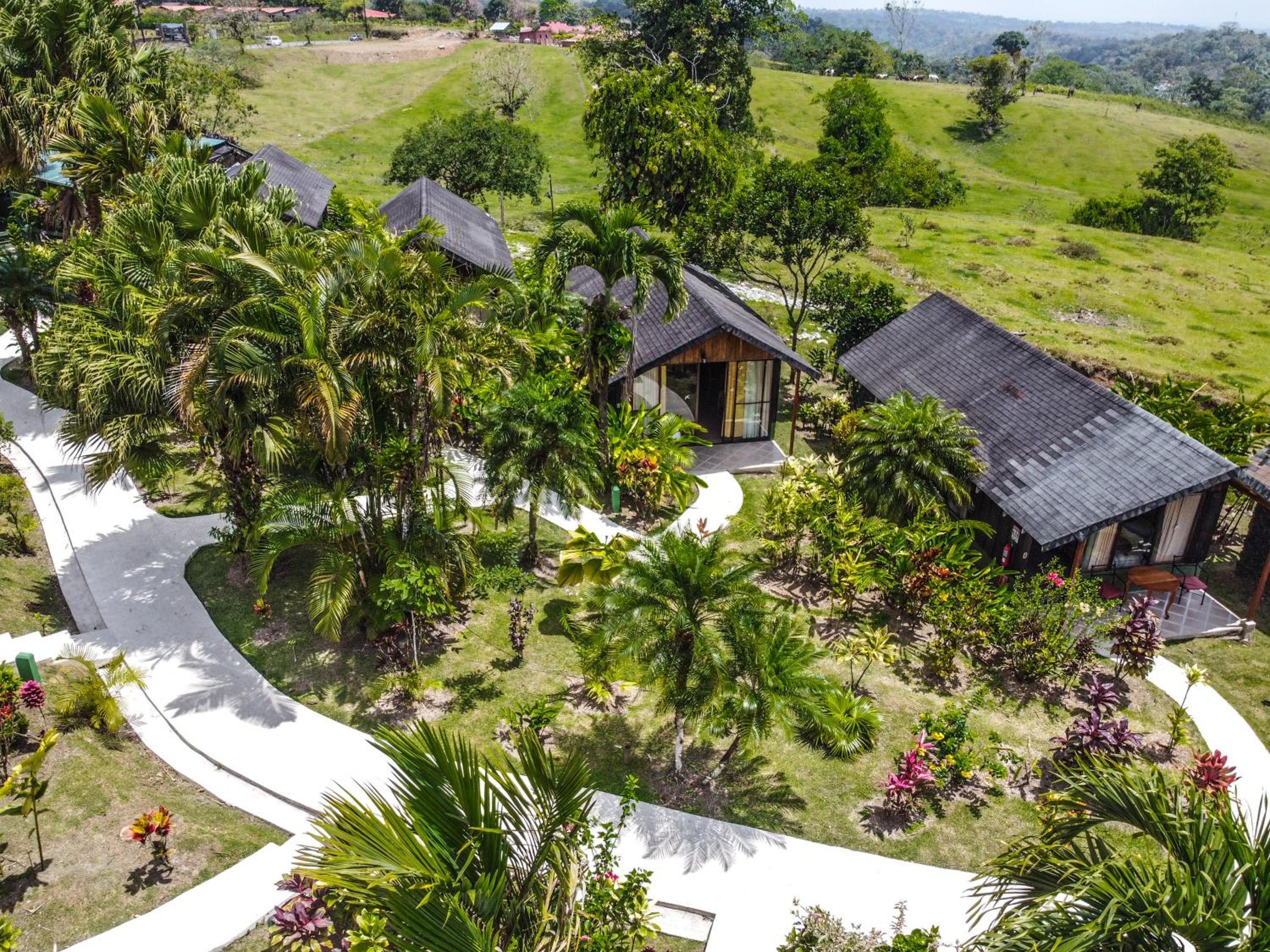 Bungalow with Garden View - Photo 8