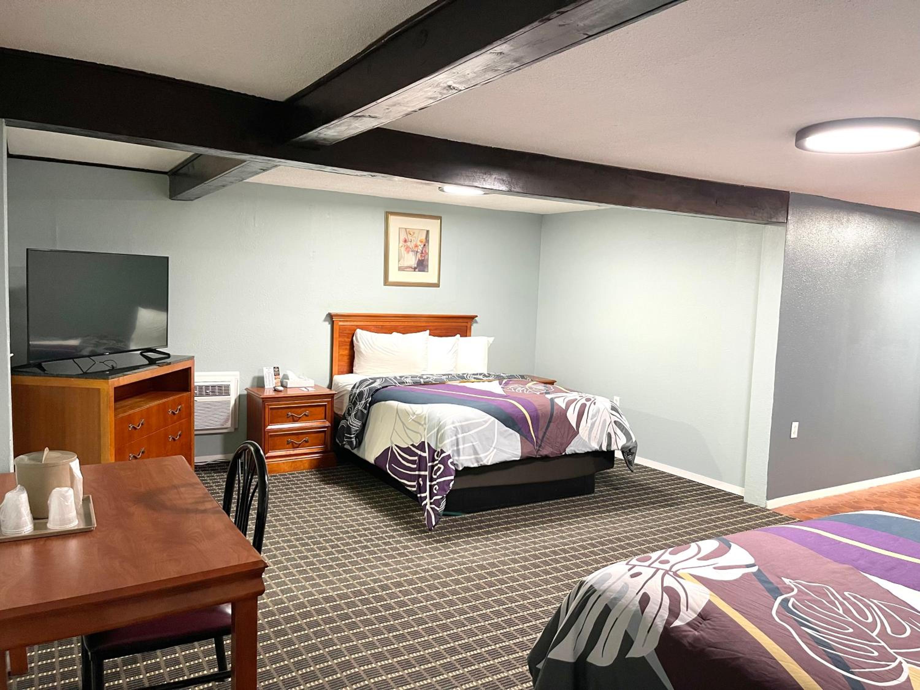 One-Bedroom Family Apartment - Photo 3